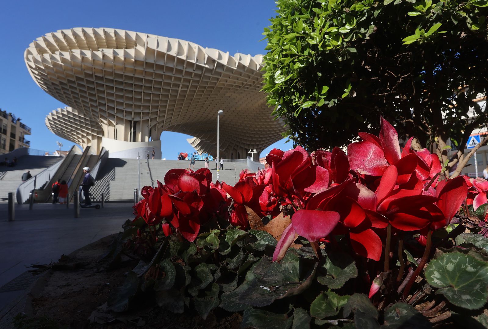 Comienzo de la primavera en Sevilla