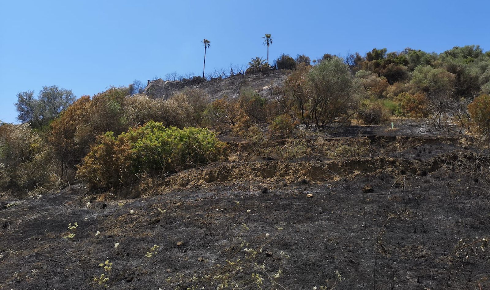Así ha quedado la cornisa de Gelves tras el incendio