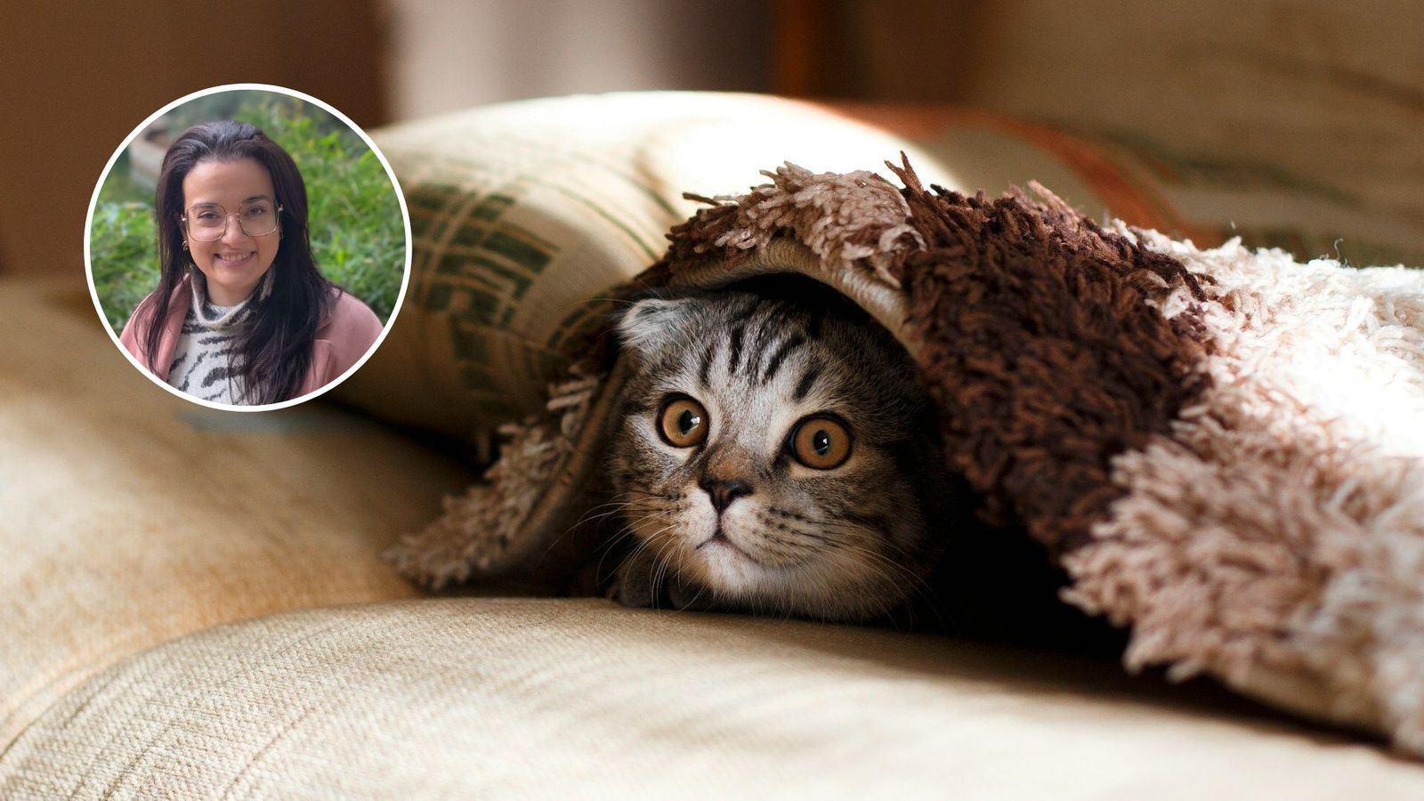 Una veterinaria explica los cambios en la normativa de la Unión Europea para viajar con gatos