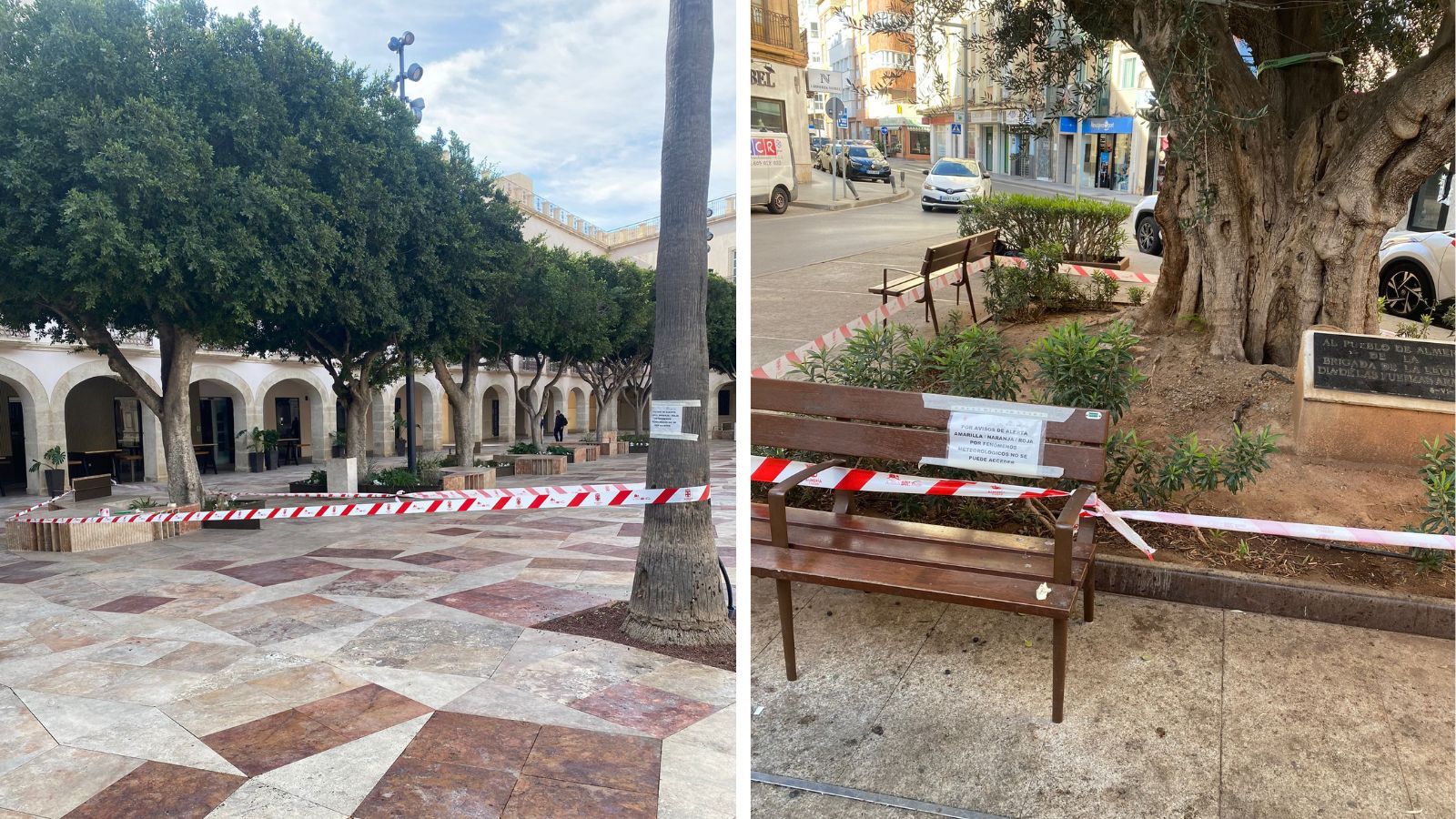 Árboles balizados para evitar accidentes por el fuerte viento en la capital de Almería.