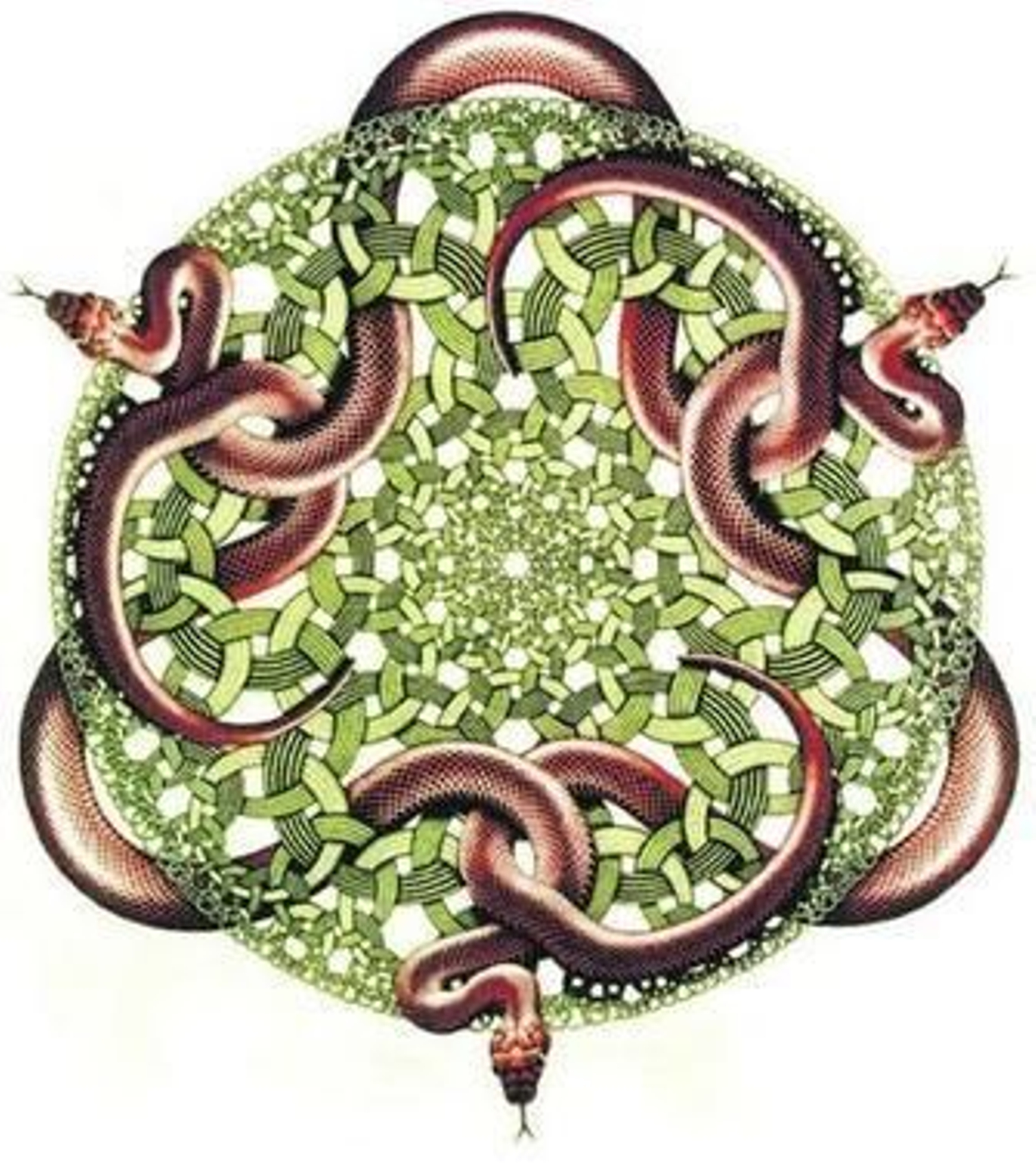 Parábola de la serpiente constrictora