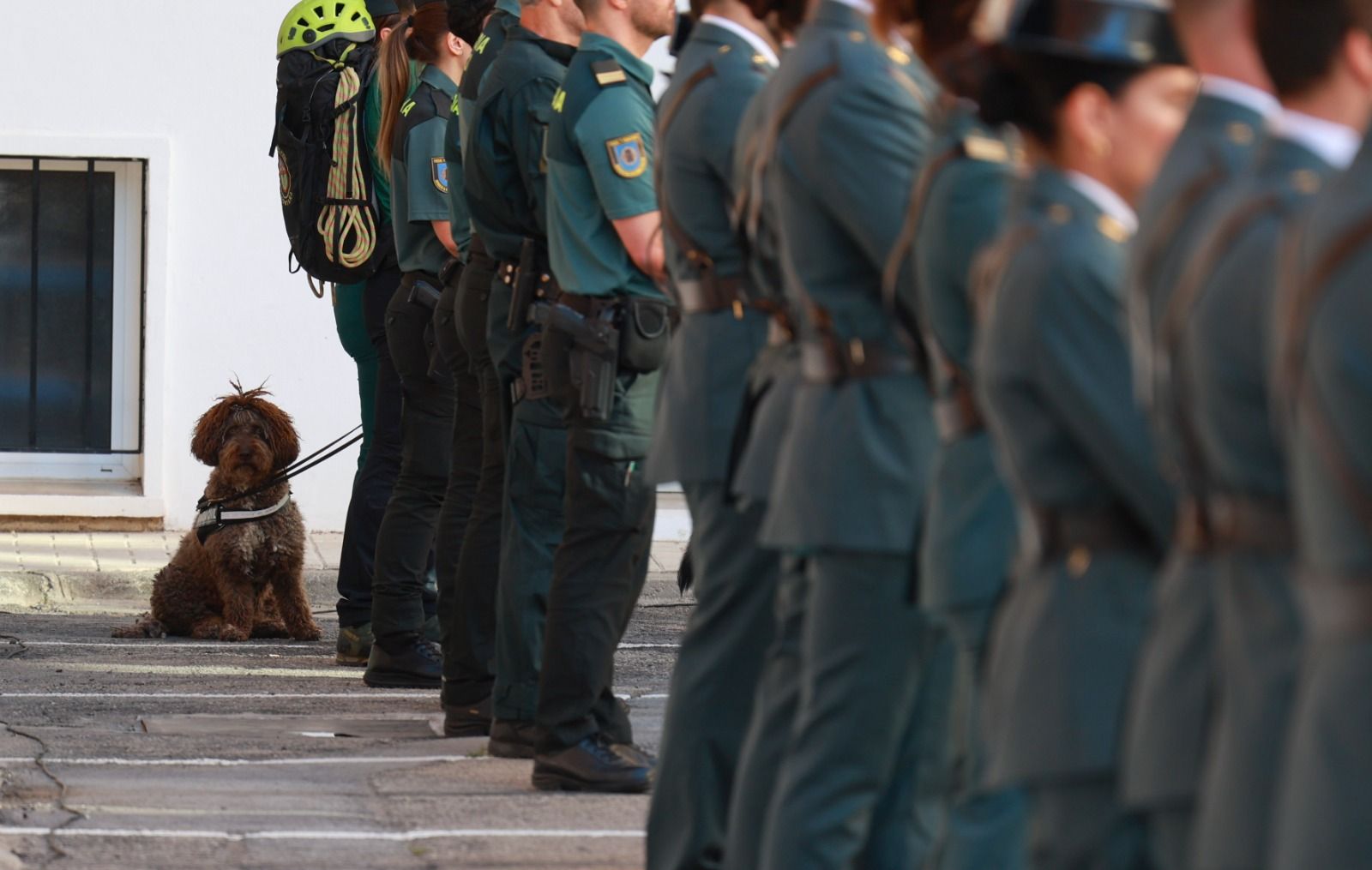 El acto de conmemoración del 181 aniversario de la fundación de la Guardia Civil, en imágenes