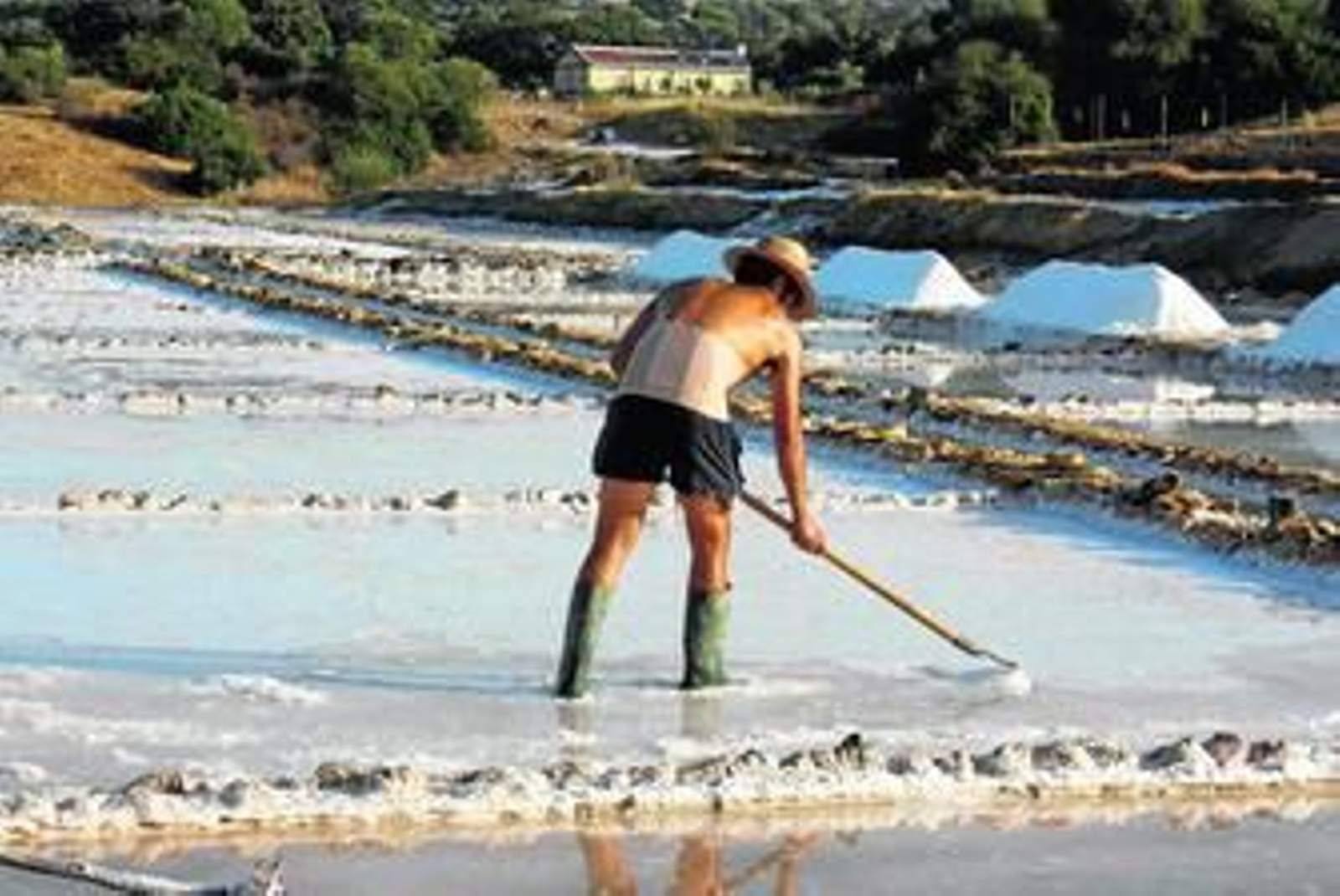 Salinas de interior de Prado del Rey.