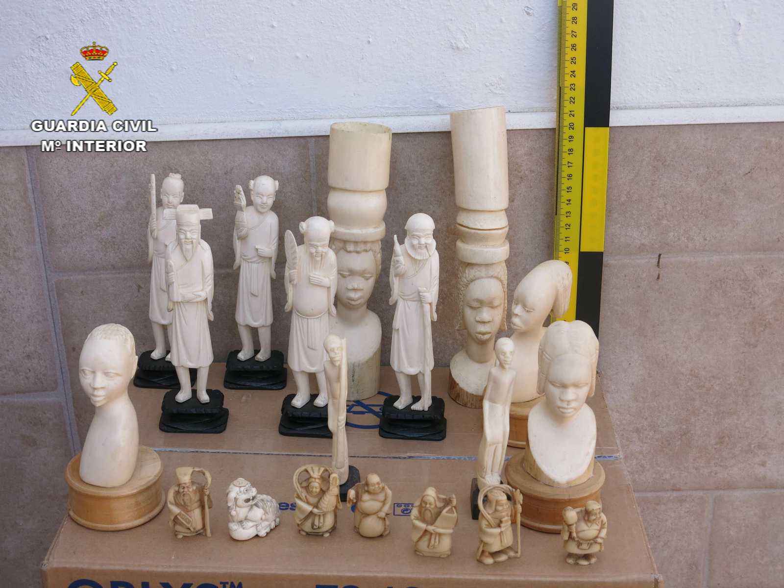 Piezas de marfil de elefante, incautadas por la Guardia Civil.
