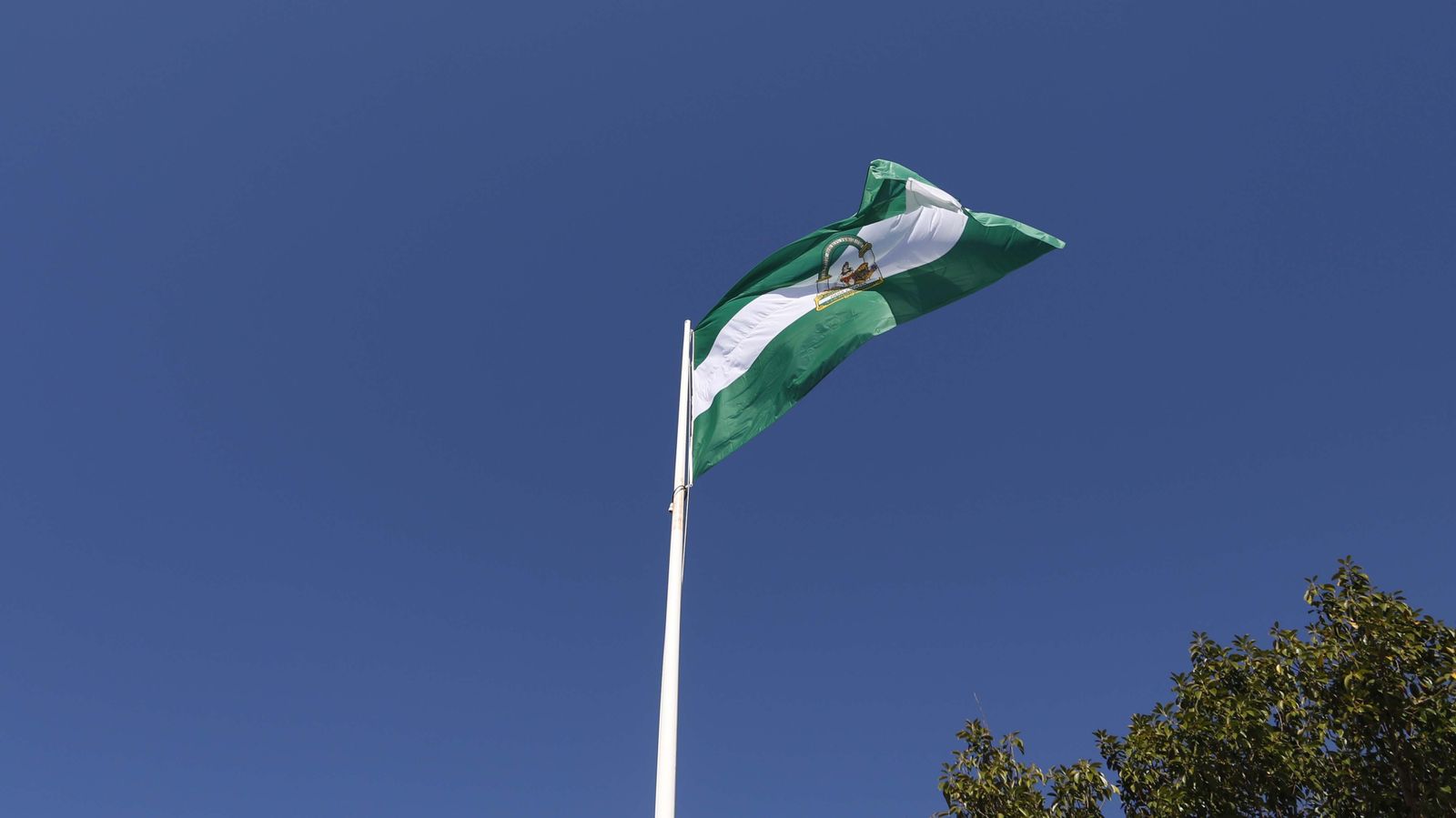 Fotos de la celebración del Día de Andalucía en San Roque