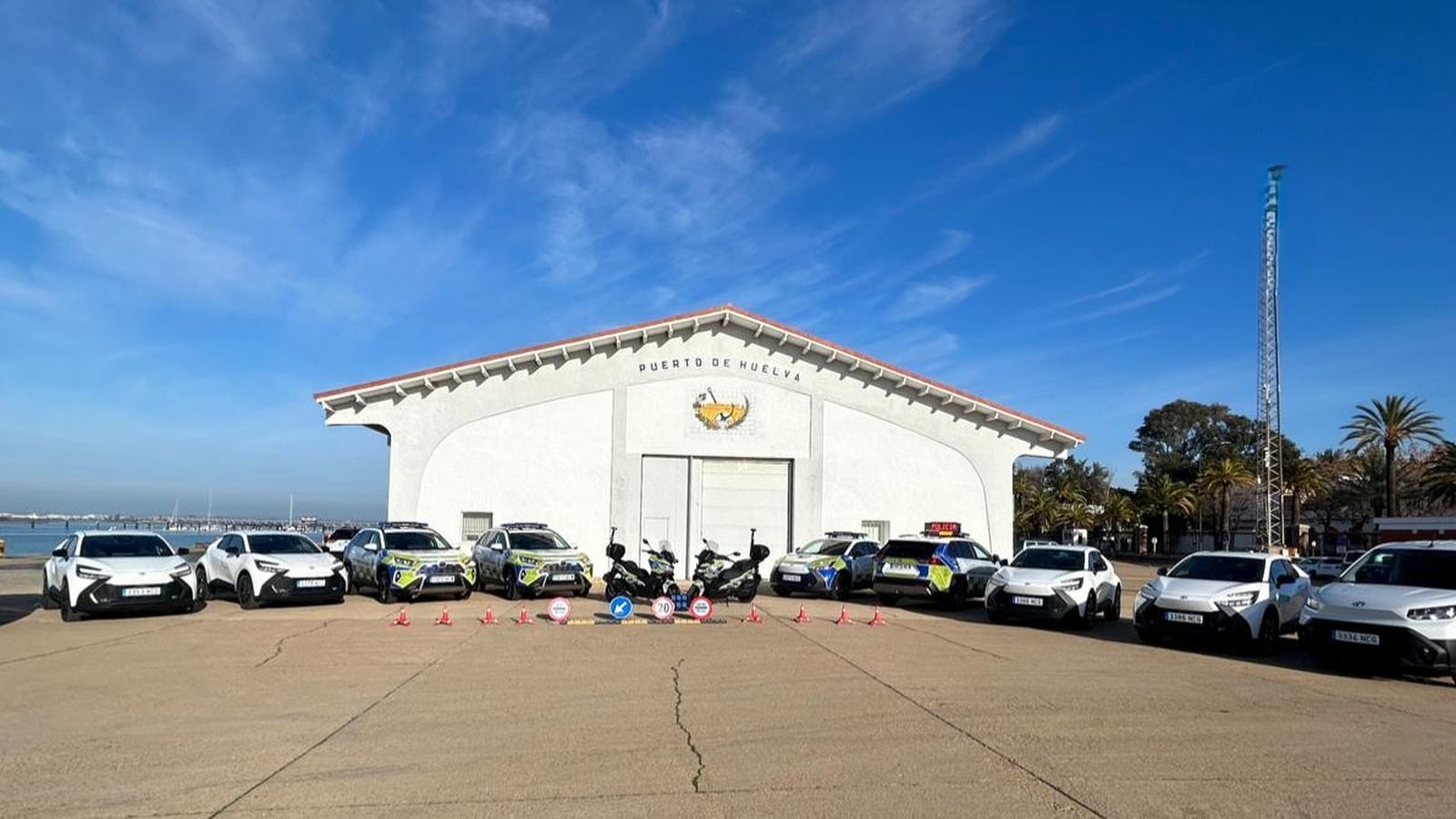 Todos los nuevos vehículos en el Muelle de Levante.