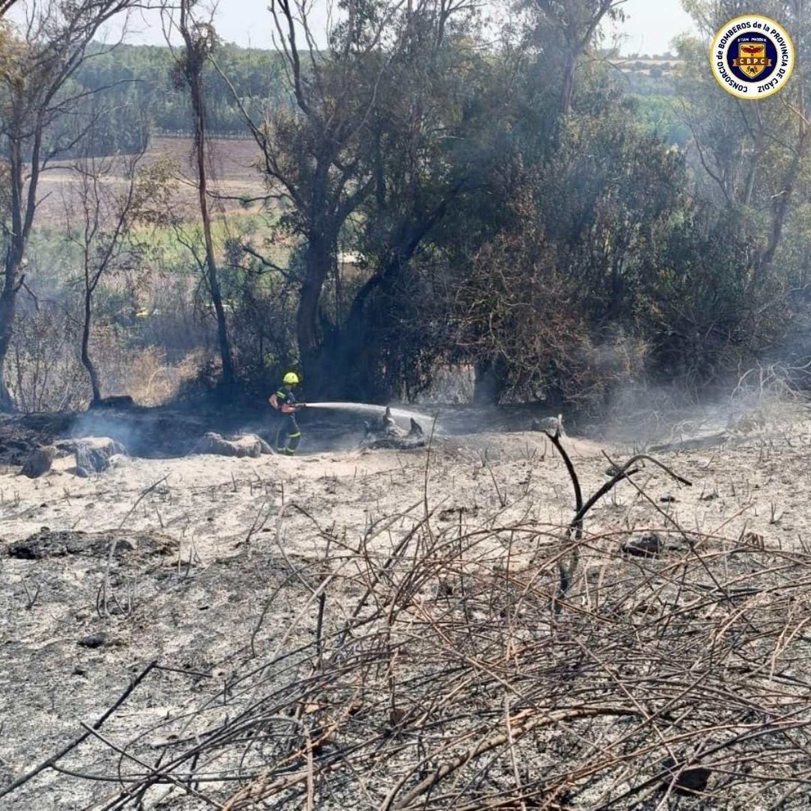 Bomberos actúan en dos incendios este domingo en Arcos de la Frontera.