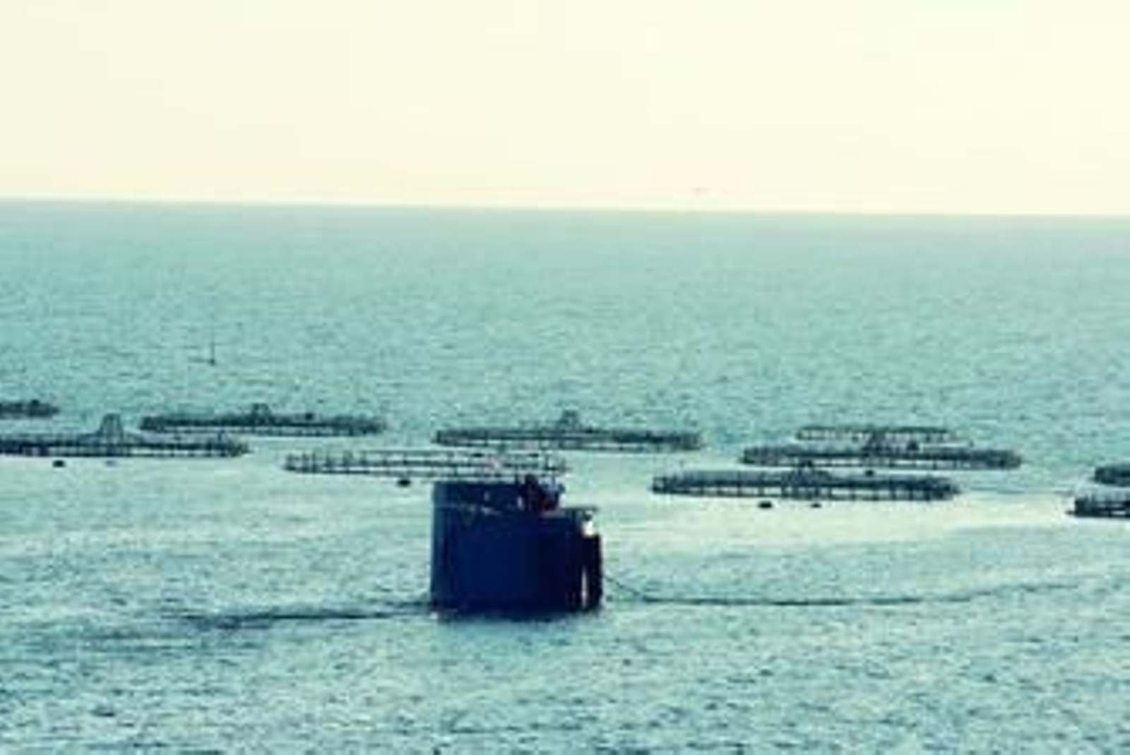 Plataforma de alimentación automática instalada por la empresa Piagua junto al litoral de Aguadulce.