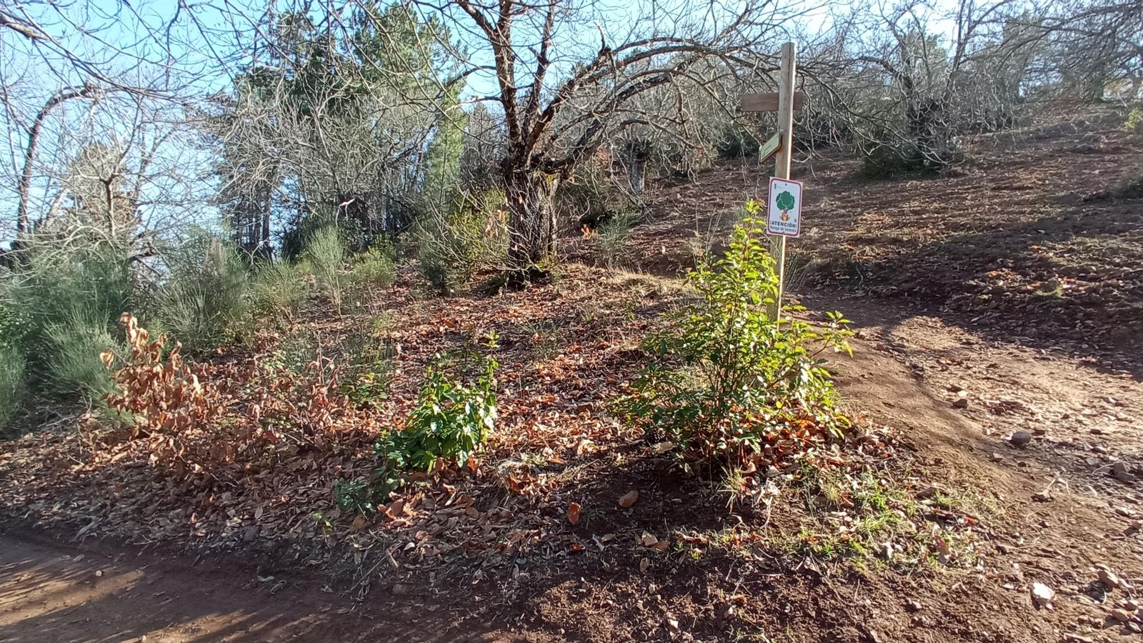 Bifurcación tras una subida complicada vamos a la izquierda de nuevo en subida