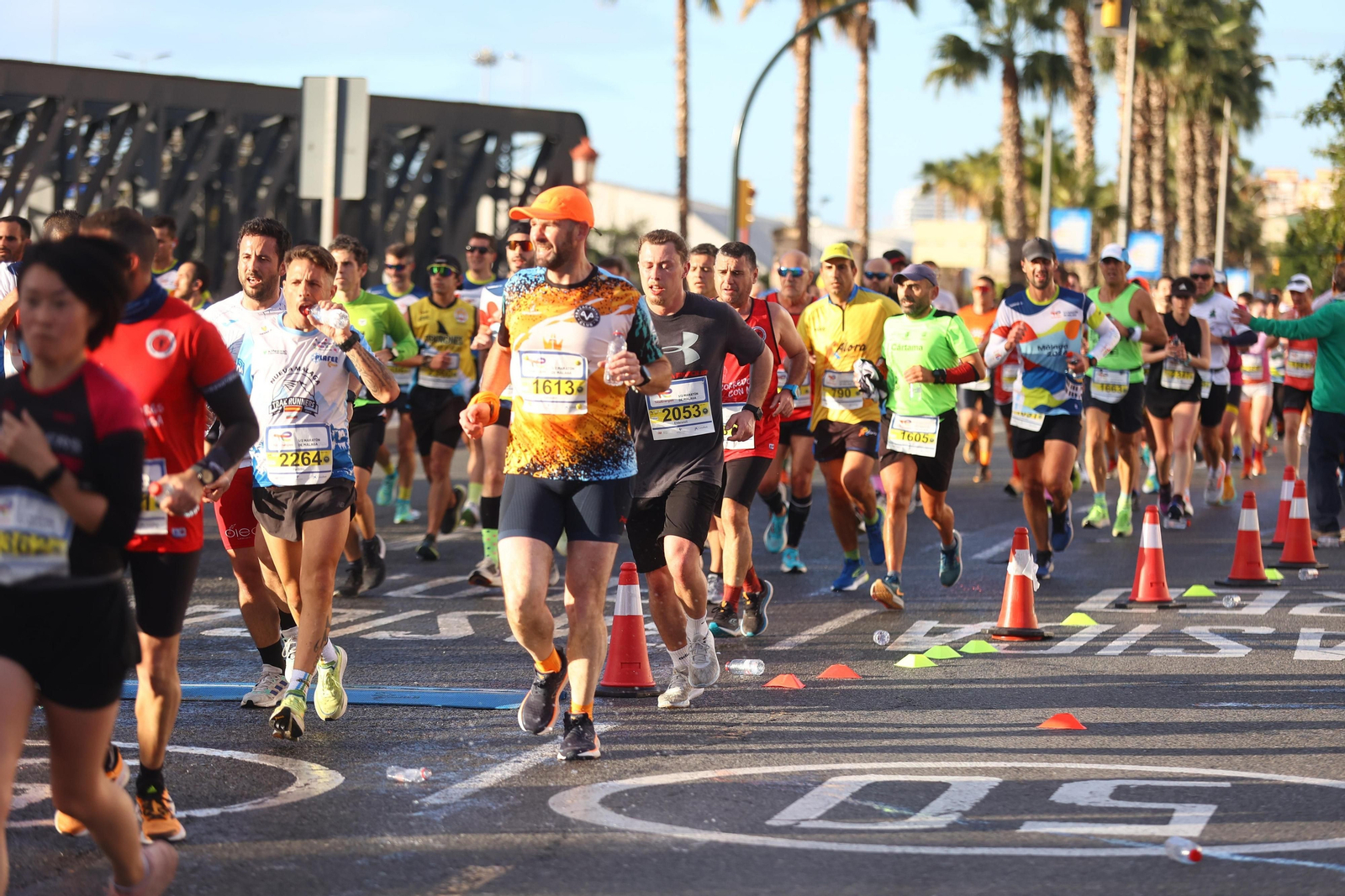 Las mejores fotos de la Media Maratón de Málaga 2024 Las mejores fotos de la Media Maratón de Málaga 2024