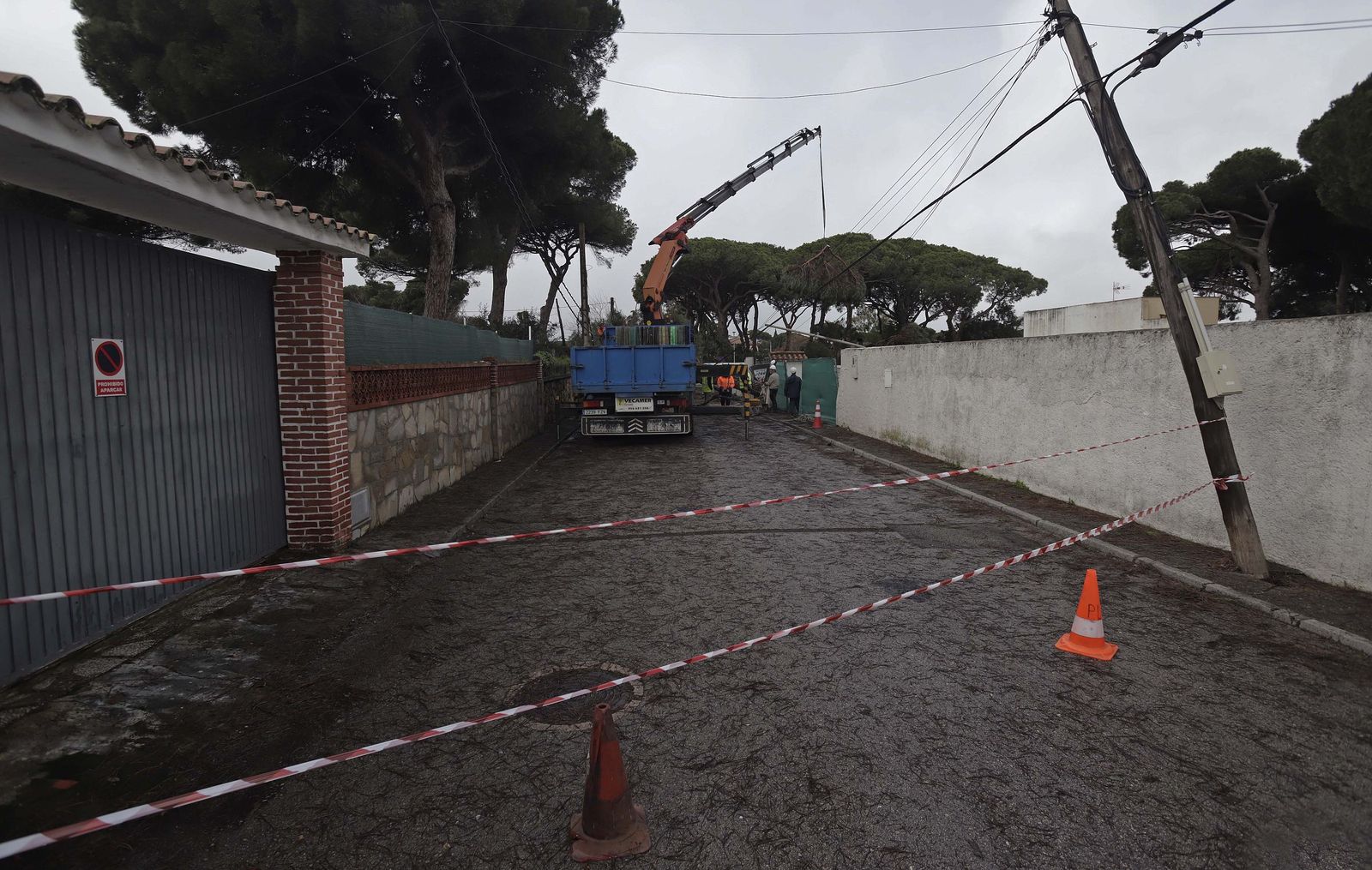 24 horas sin electricidad en la urbanización Los Pinos por árboles caídos tras la borrasca Kristin, en imágenes