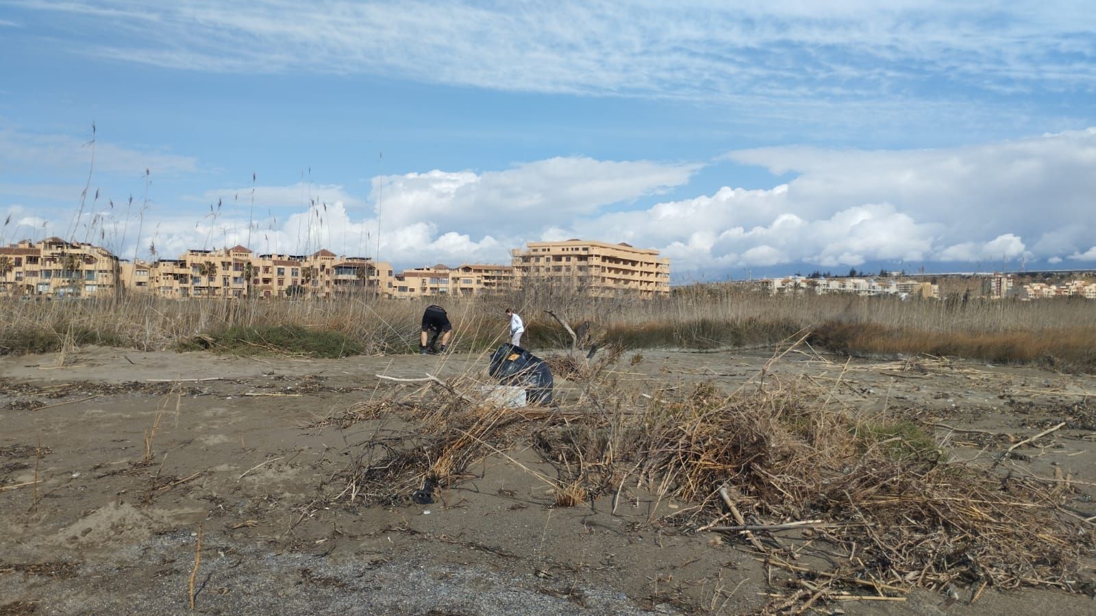 Una veintena de voluntarios limpian playas de El Ejido para retirar 400 kilos de basura