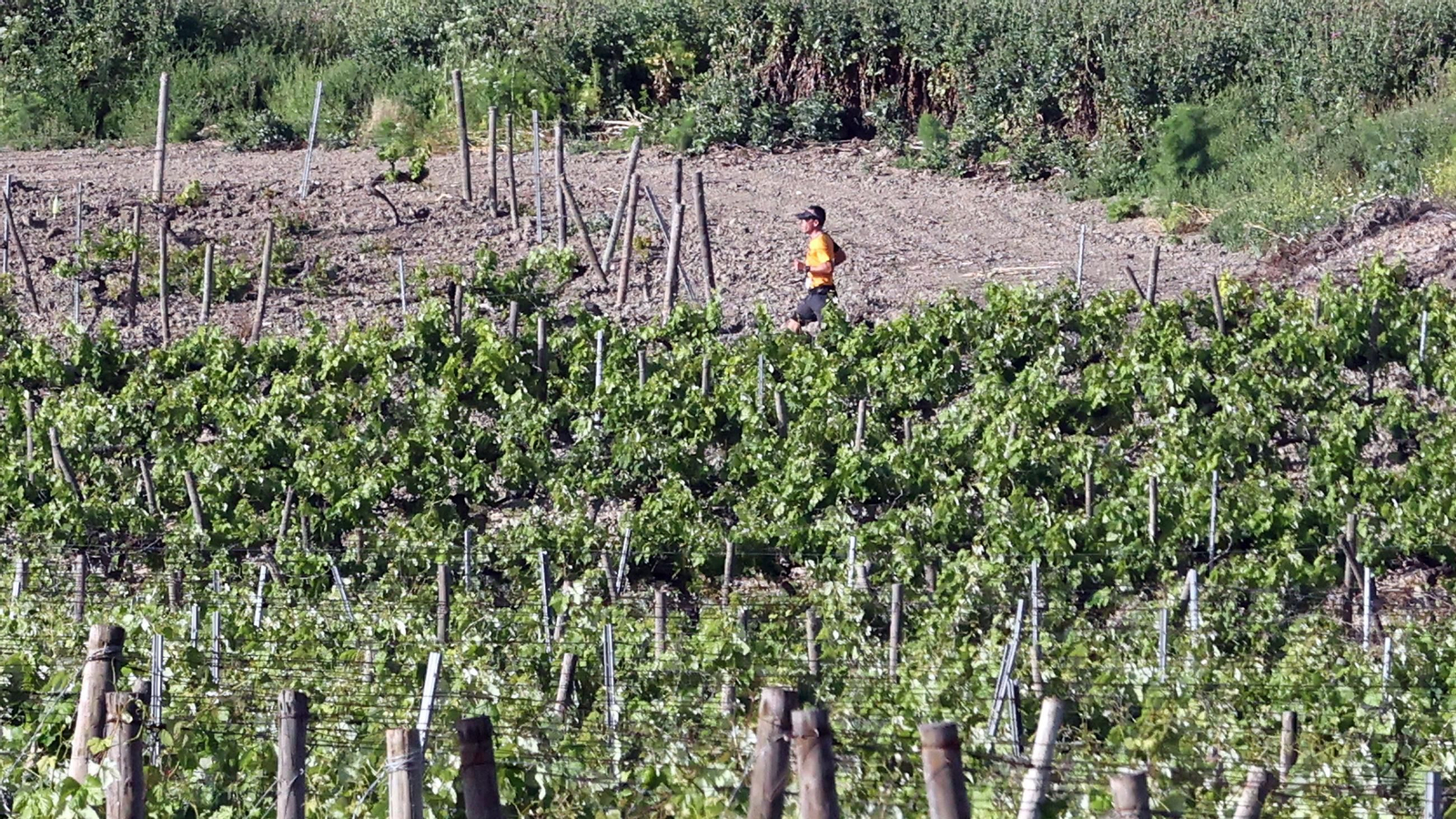 Búscate en la Sherry Maratón 2025 de Jerez (I)