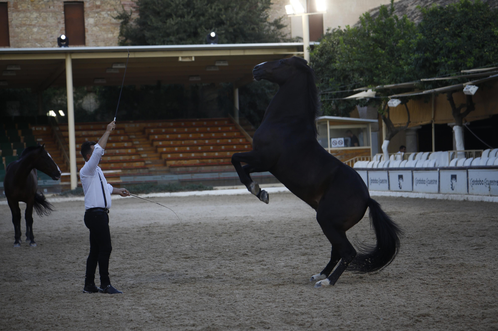 El arranque del XXVII Concurso Morfológico de La Feria del Caballo de Córdoba, en imágenes