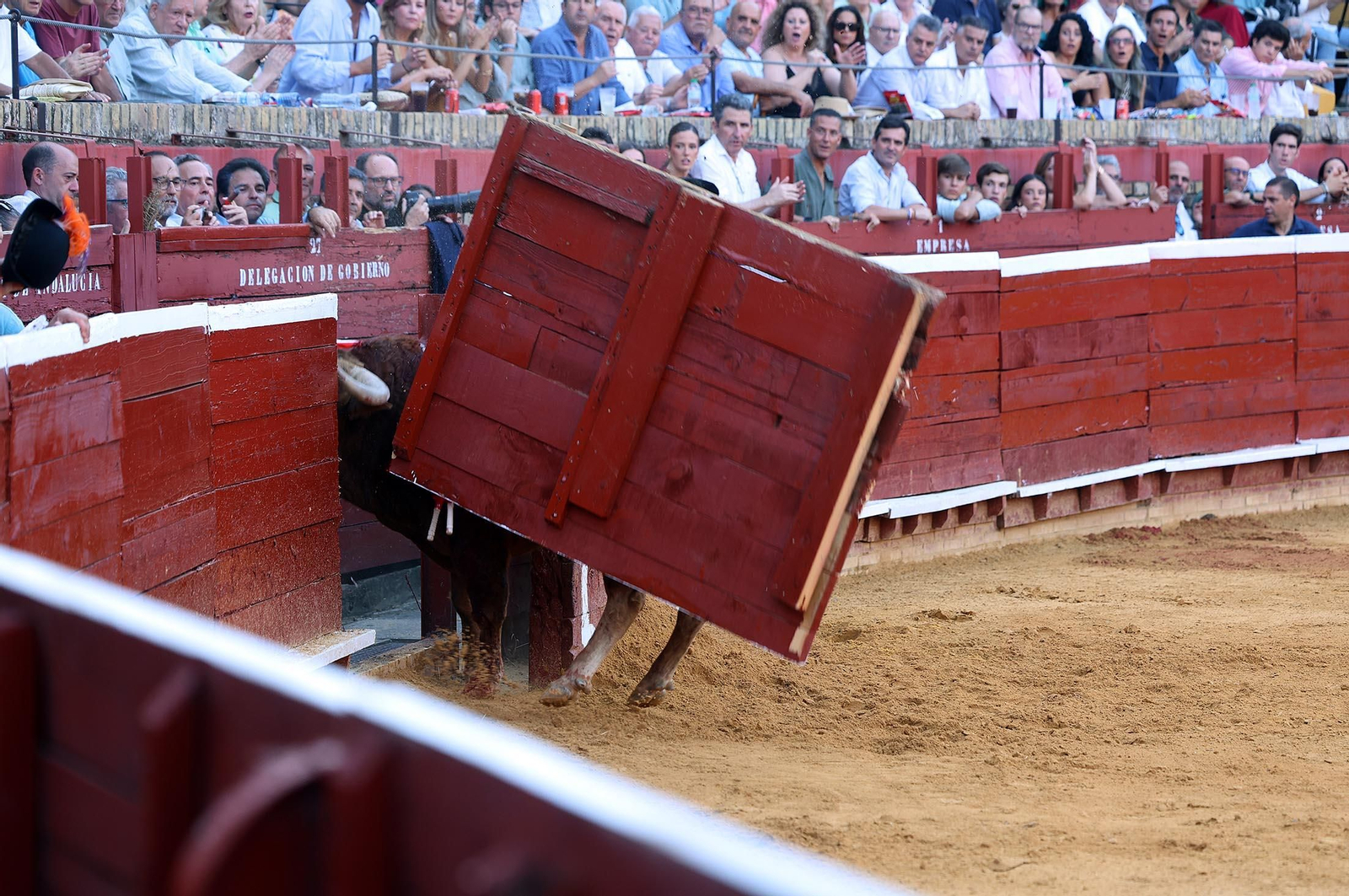 Toros La Merced 2025: Imágenes de la corrida de David de Miranda, Marco Pérez y Borja Jiménez