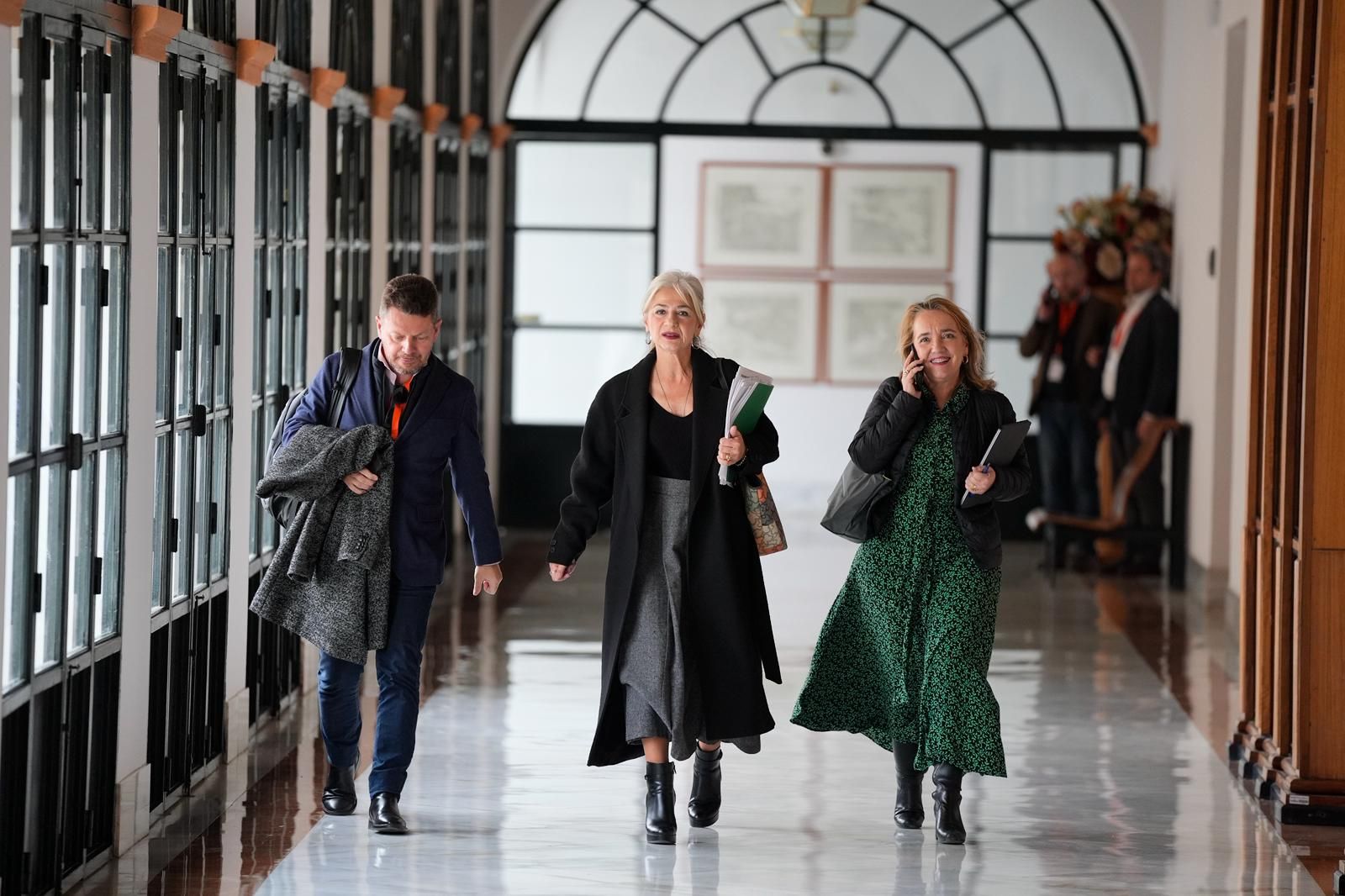 La consejera, a su llegada a la sede de la Delegación de Gobierno.