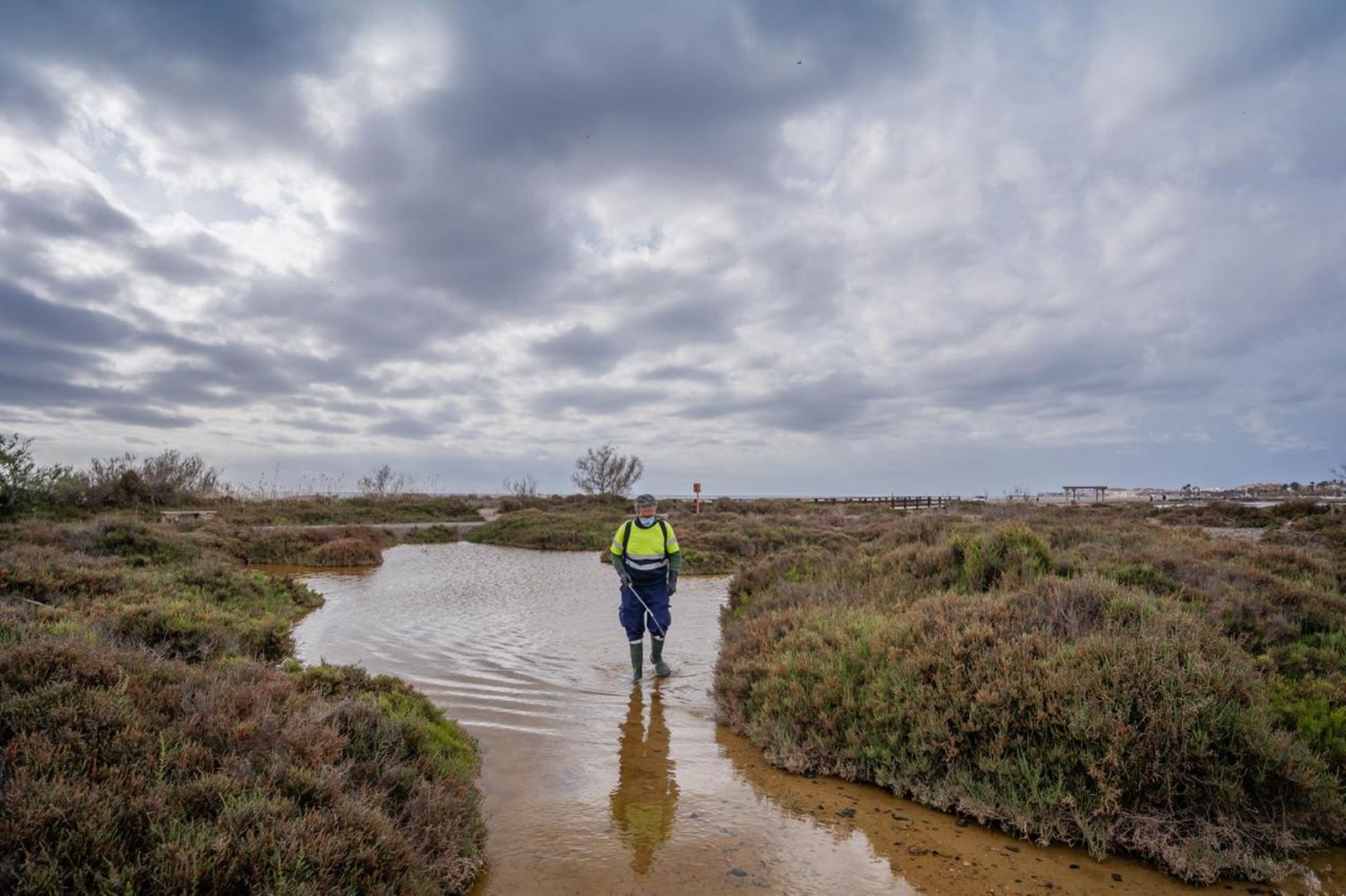 La junta de gobierno aprueba el servicio municipal de control y vigilancia de mosquitos en Roquetas de Mar.