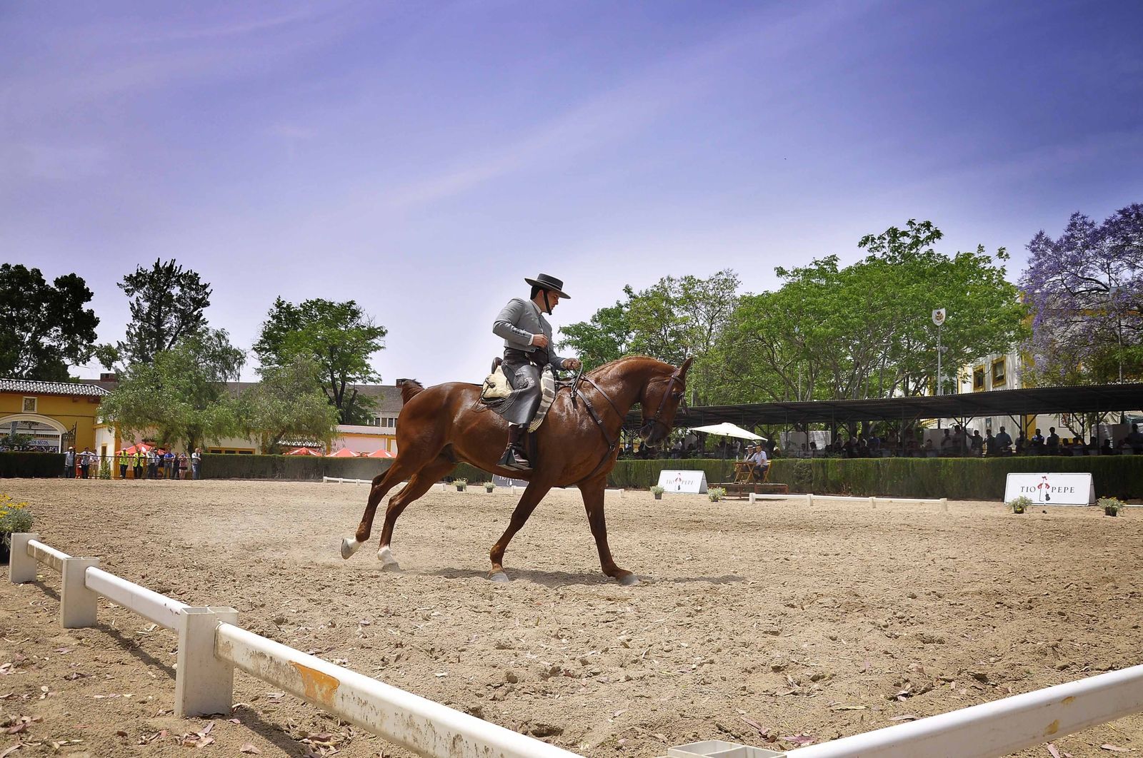 Imagen de un ejercicio de doma vaquera en Sementales.