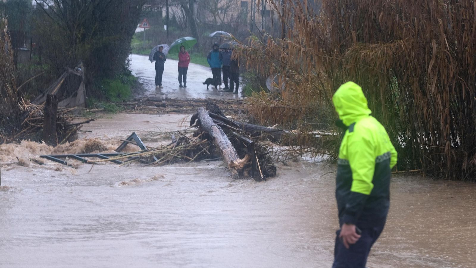 Un agente mira a una familia al otro lado de un río desbordado y que transporta material en su cauce.