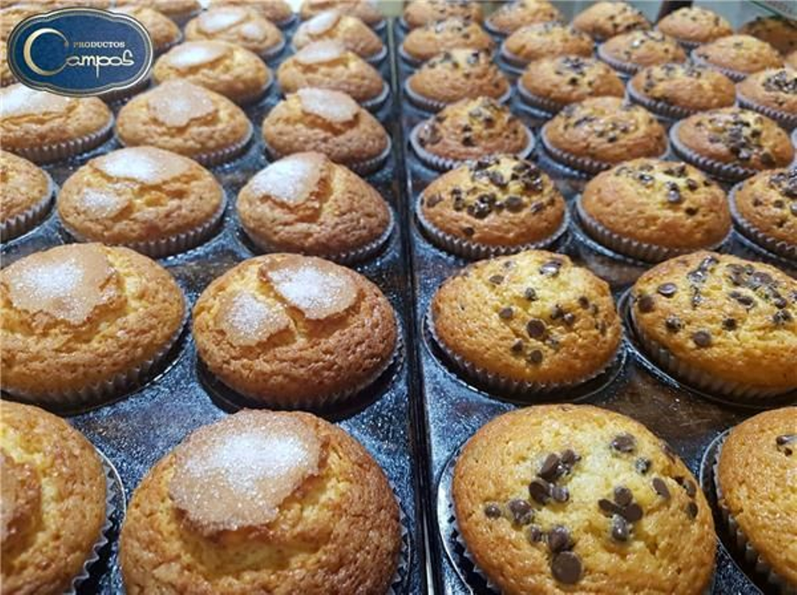 De magdalenas a productos de Navidad, Productos Campos es una empresa familiar con sede en Arjona.