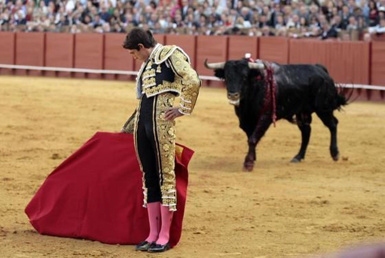 Castella./ Juan Carlos Muñoz