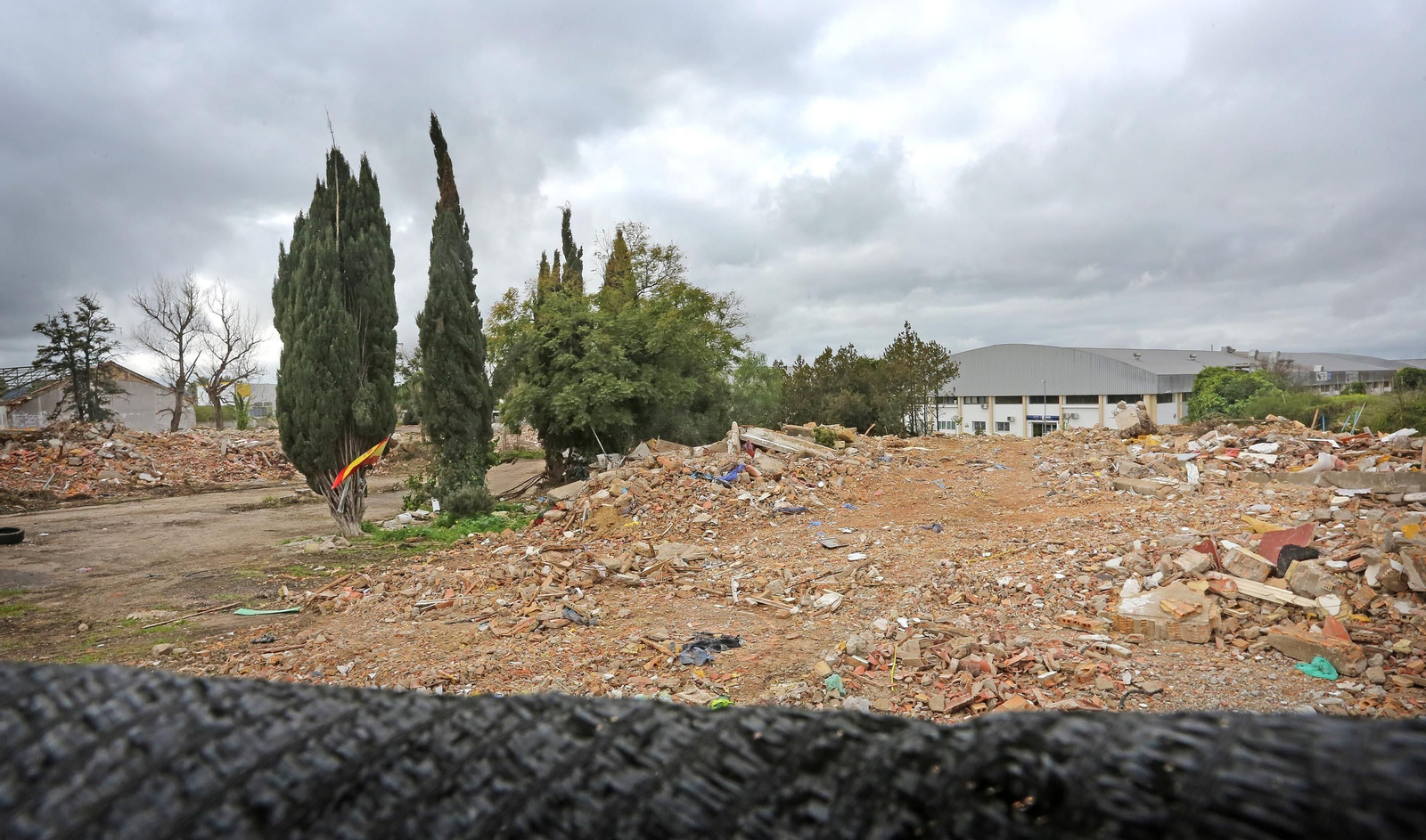 Derribo de las antiguas bodegas Bobadilla: El polígono Guadalquivir se revaloriza