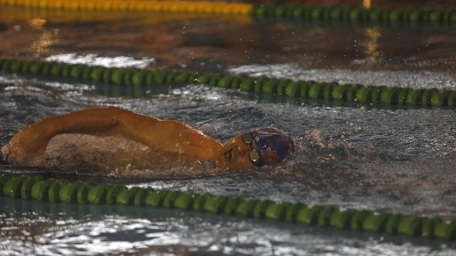 Las fotos del campeonato Máster de natación