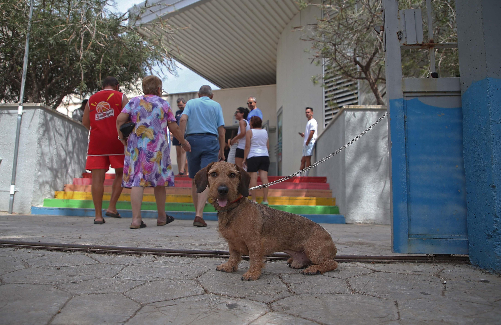 La jornada electoral en Algeciras, en imágenes