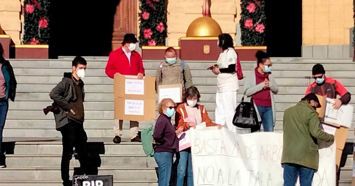 Un grupo de ciudadanos protesta contra la tala de árboles en San Fernando