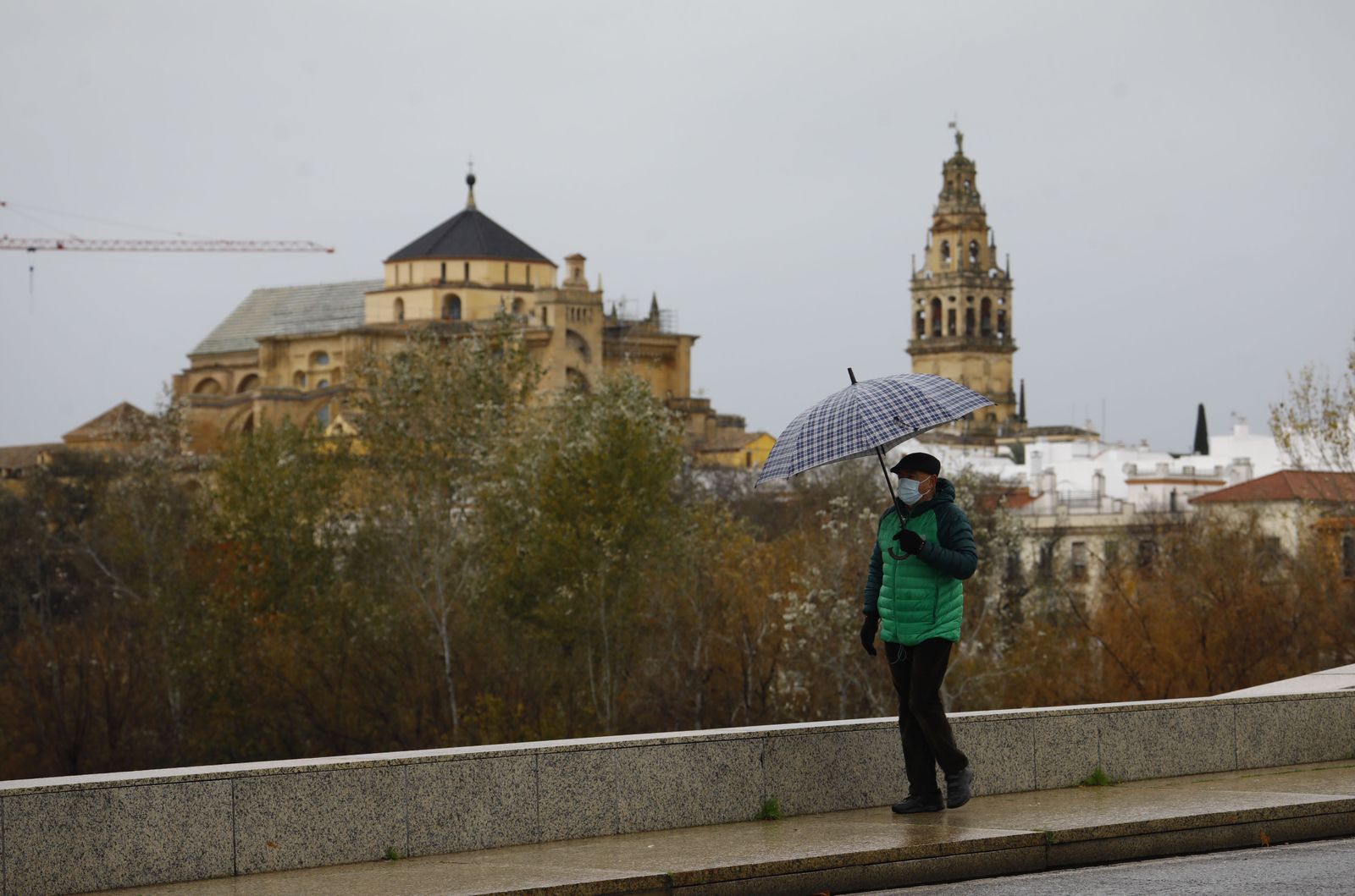 Las fotografías del paso de la borrasca Filomena por Córdoba