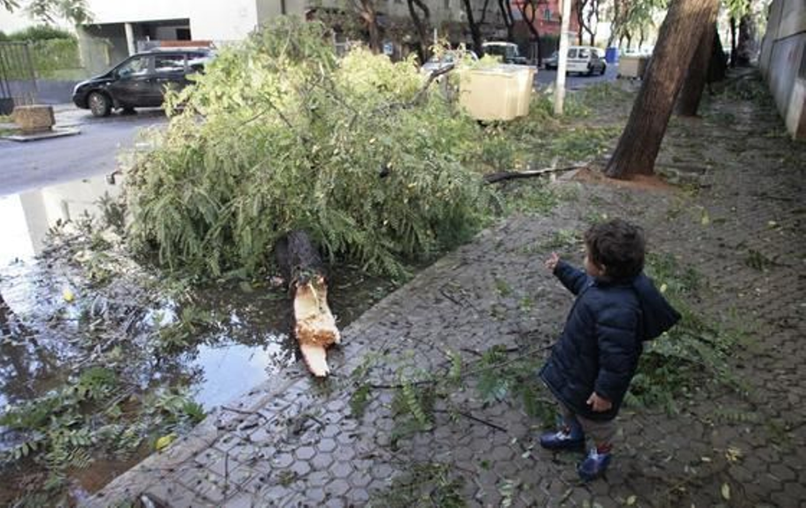 Foto: Juan Carlos Muñoz