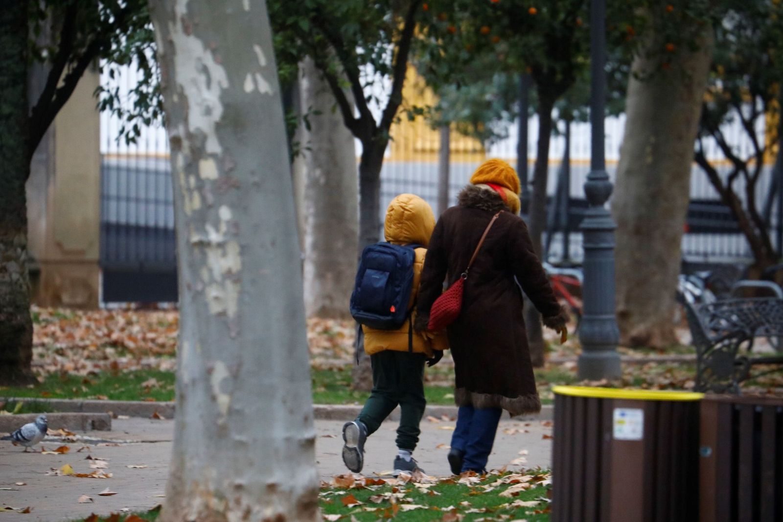 La normalidad regresa a Córdoba tras la Navidad