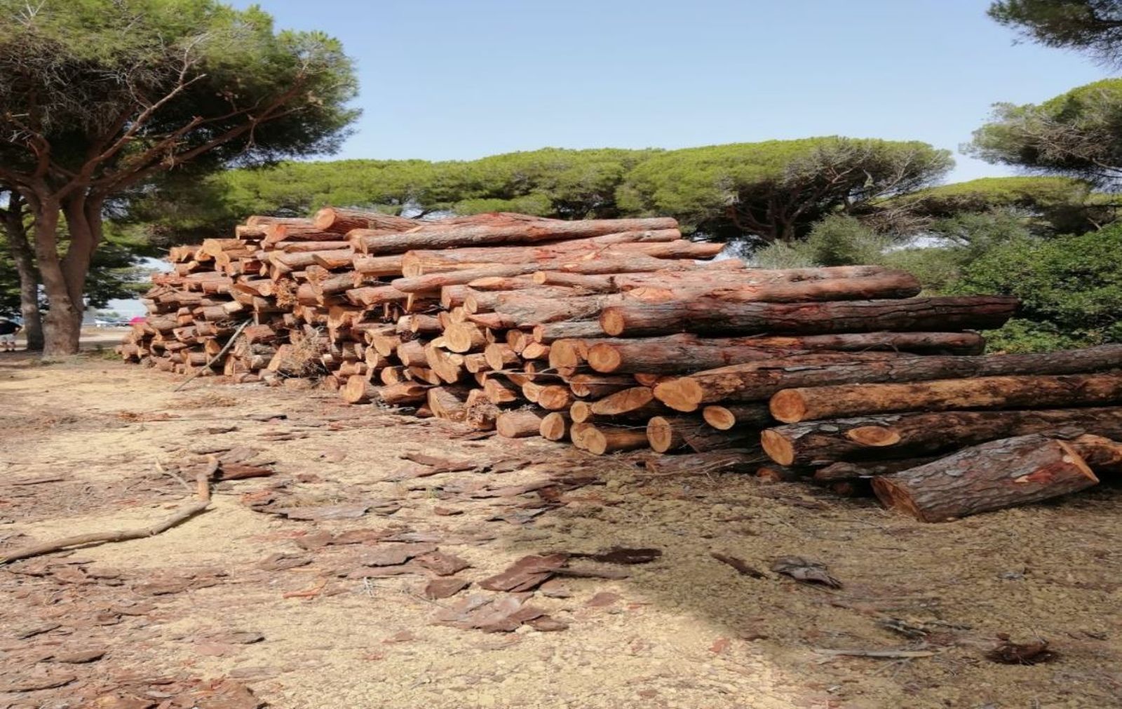 Una de las fotografías aportadas por Argaira en la denuncia