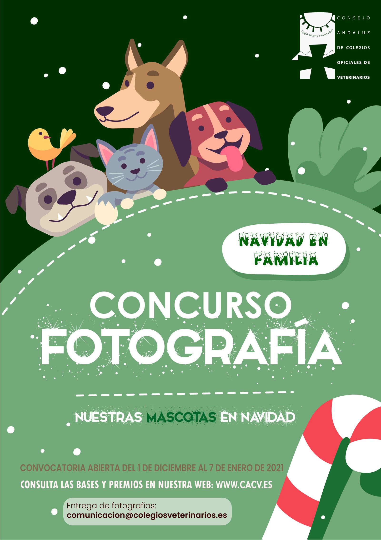El cartel que convoca el concurso de fotografía