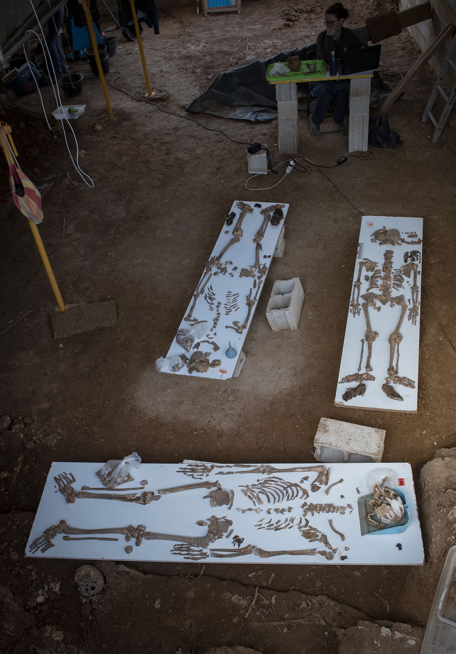 Imágenes de la fosa común de Pico Reja, en el cementerio de San Fernando