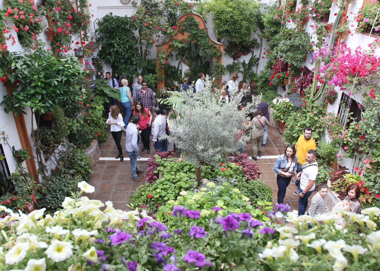 Ambiente en los patios ganadores de 2017