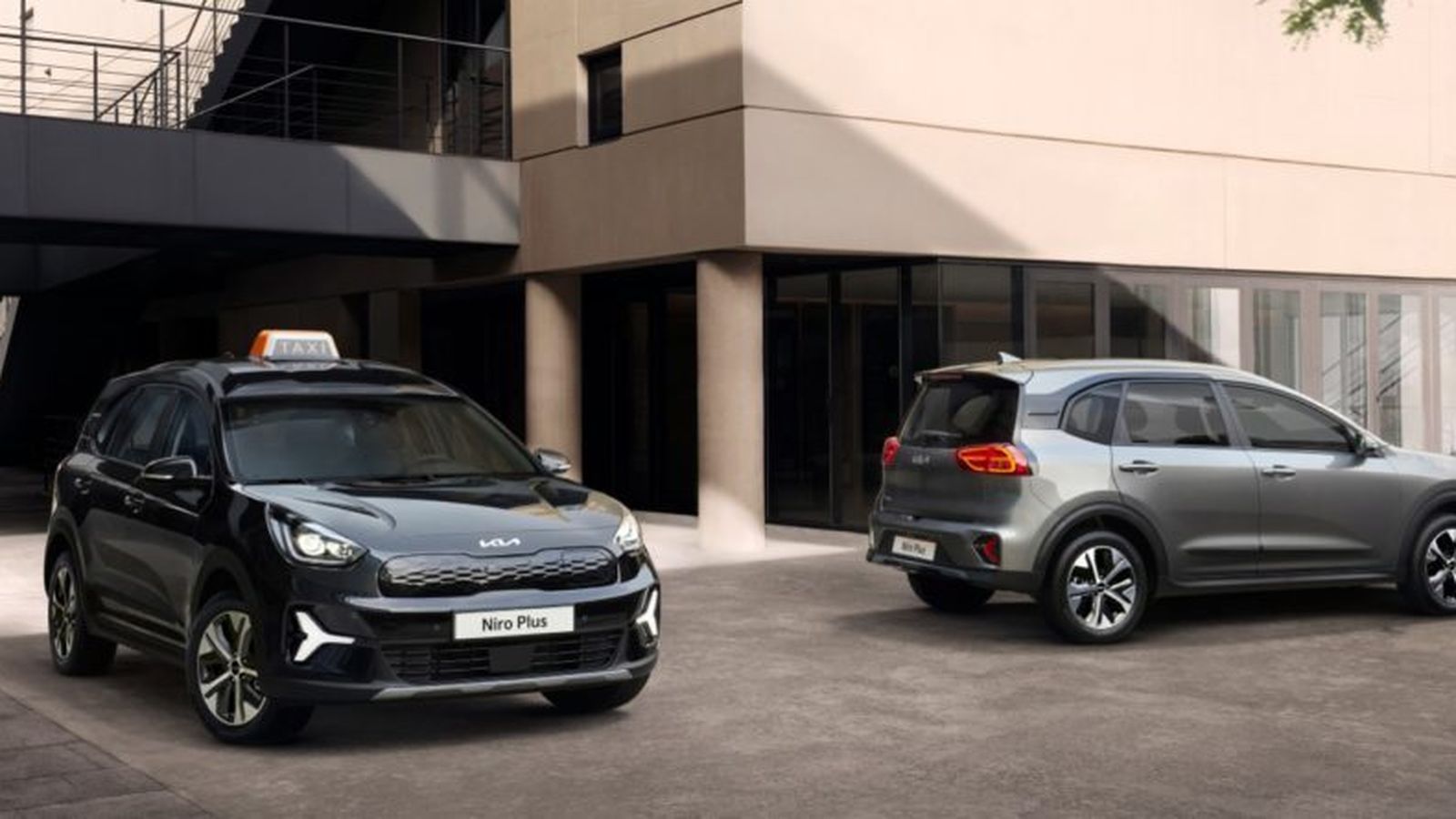 Una versión para reparto de última milla y otra para servicio de taxi, ambas con 8 cm más de altura que el Niro que venía vendiéndose hasta ahora.