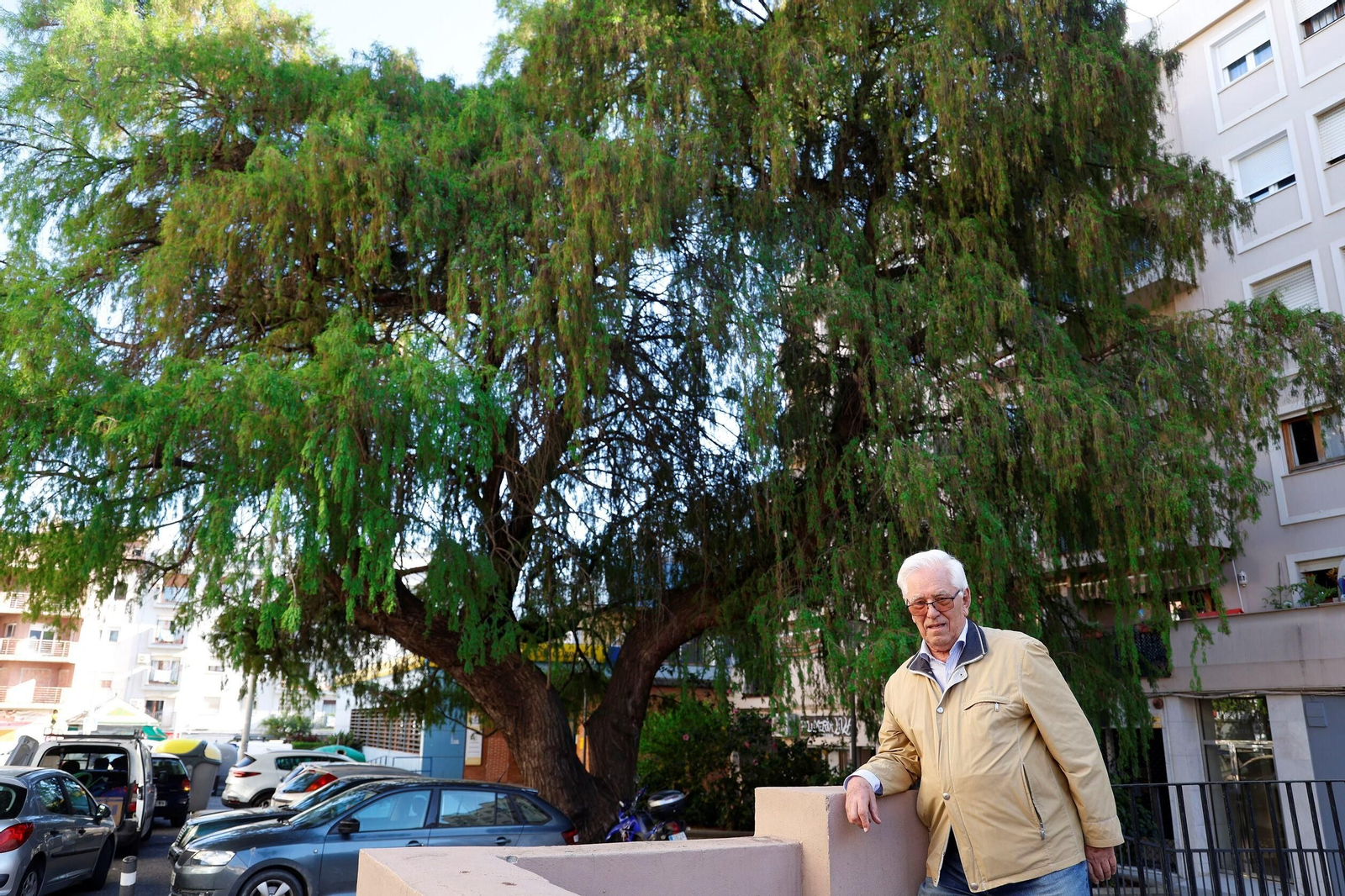 Manuel Romero Jiménez posa ante el ciprés que creció en su casa familiar