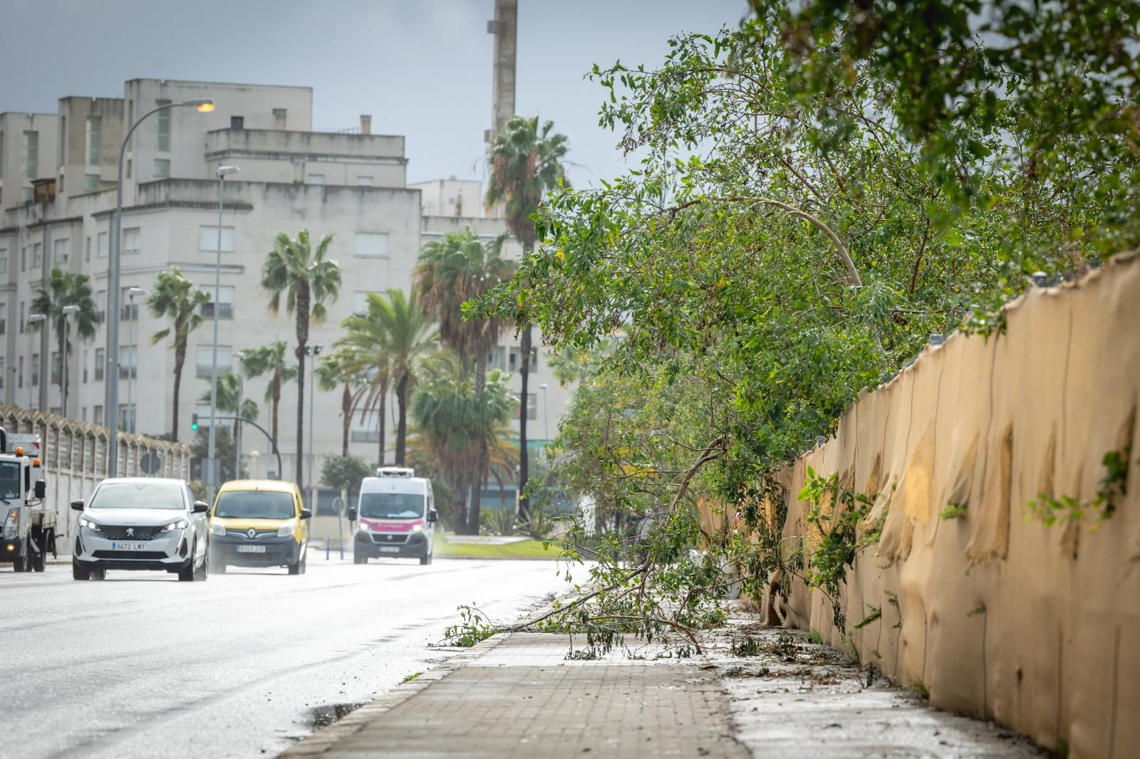 Los daños aún visibles del temporal Bernard en Cádiz