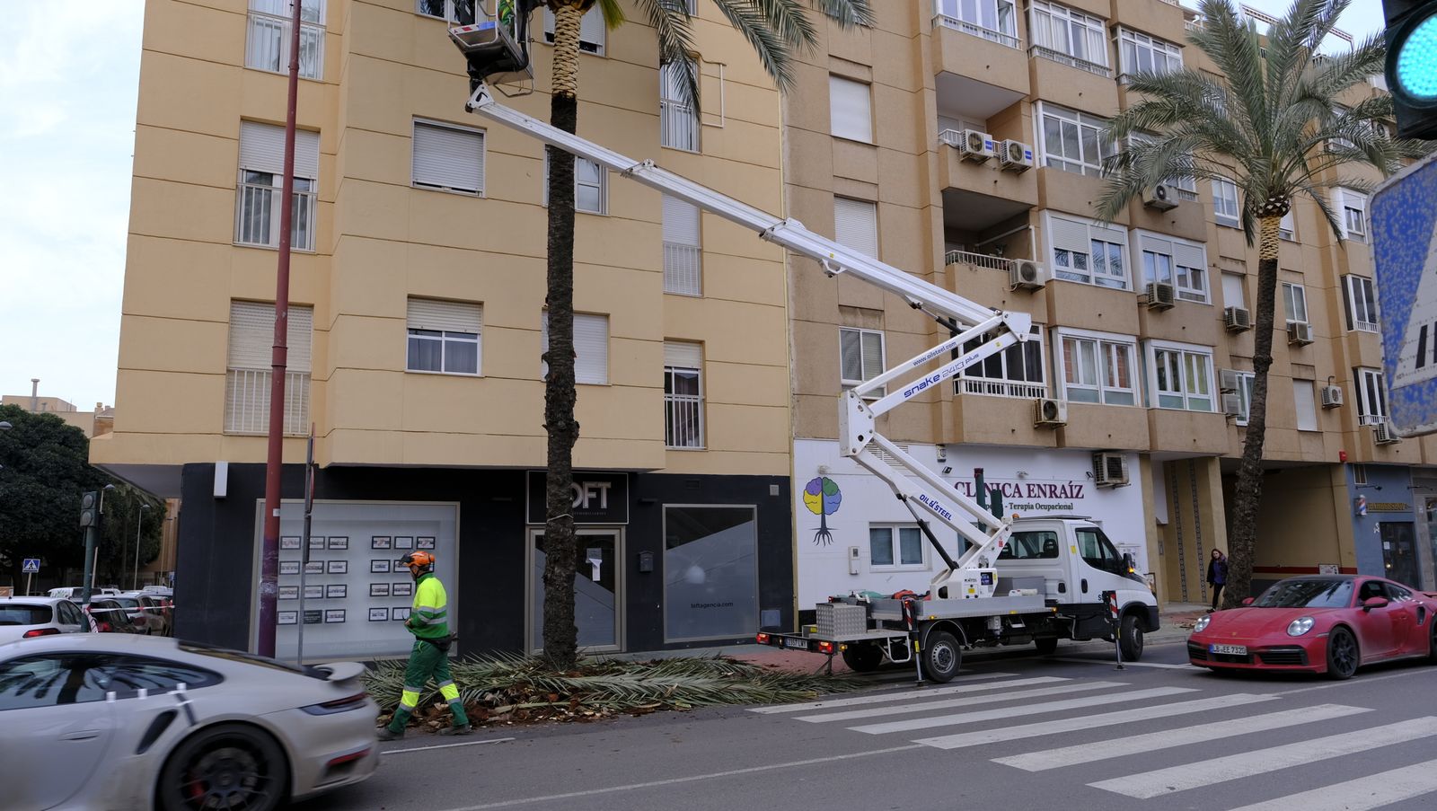 Fotogalería de la poda e inspección de las palmeras de la Avenida Cabo de Gata. Almería.