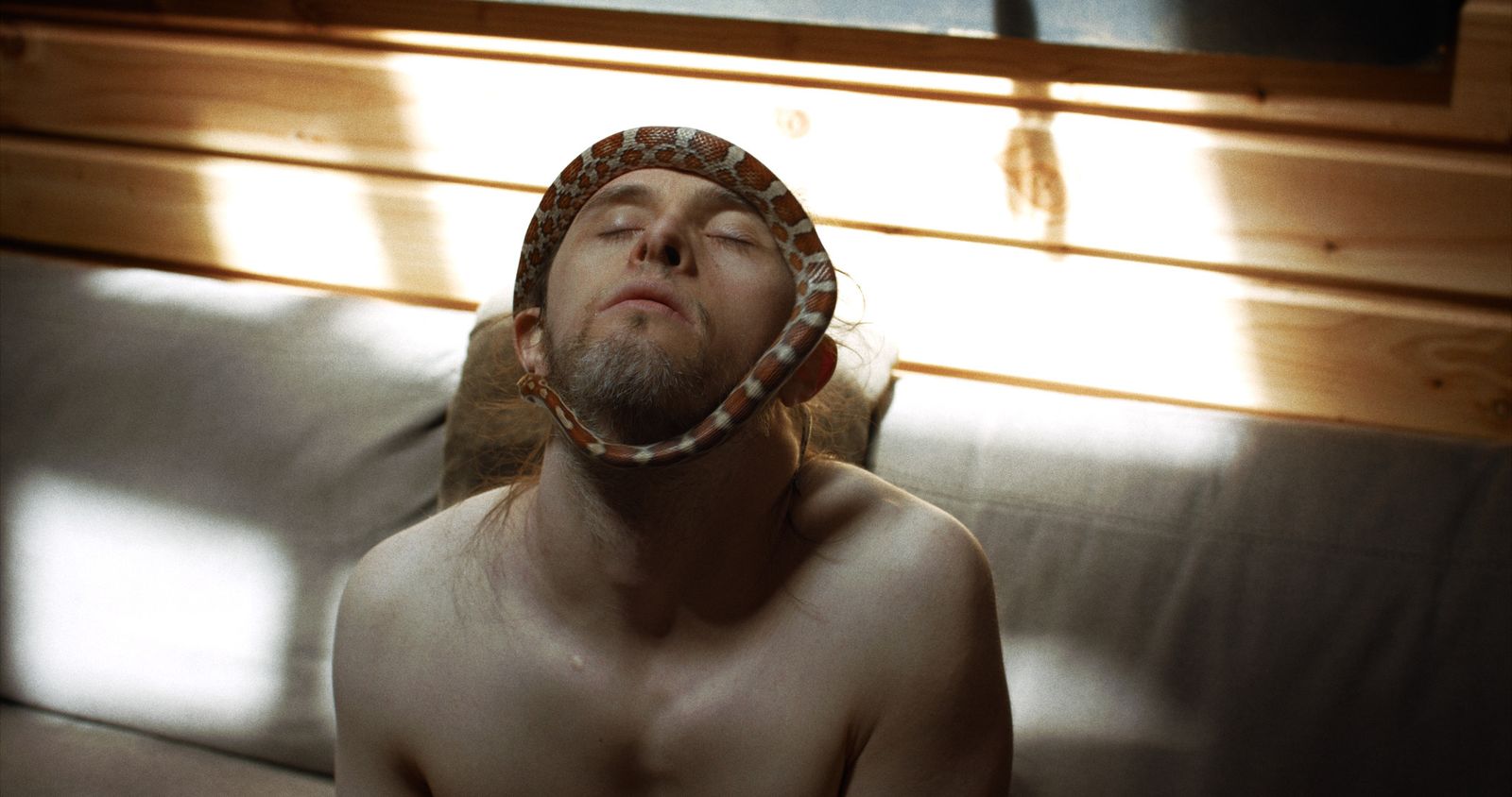 ‘Theo and the metamorphosis’, de Damien Odoul.