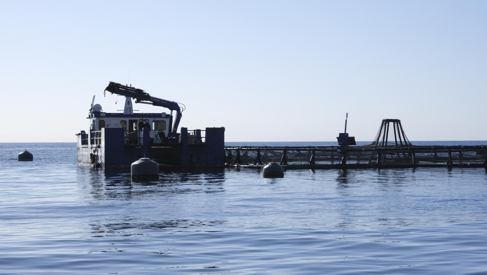 La piscifactoría de El Cañarete, en imágenes