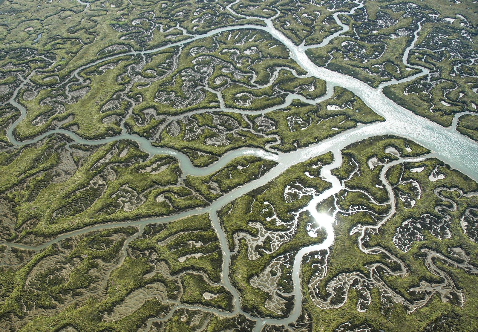 Vista aérea de Doñana tras las lluvias.