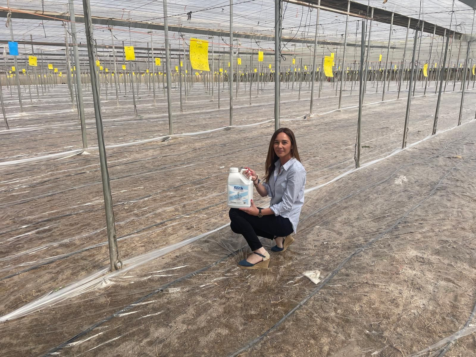 Aplicación de Slick.