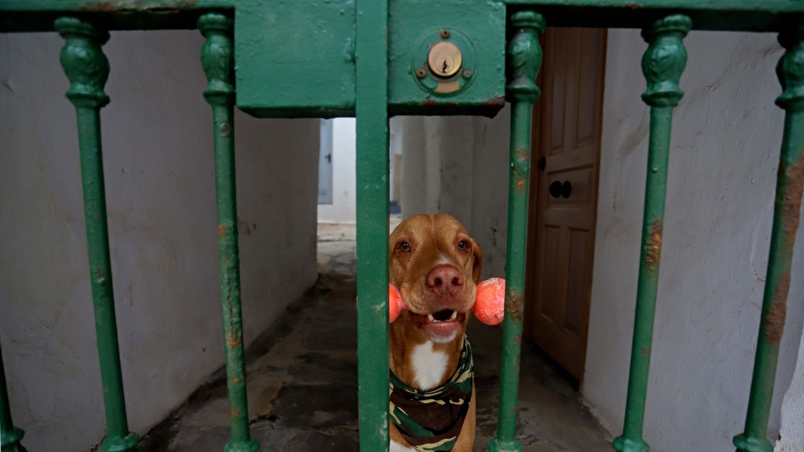 Fotos del confinamiento ante el estado de alarma en Tarifa