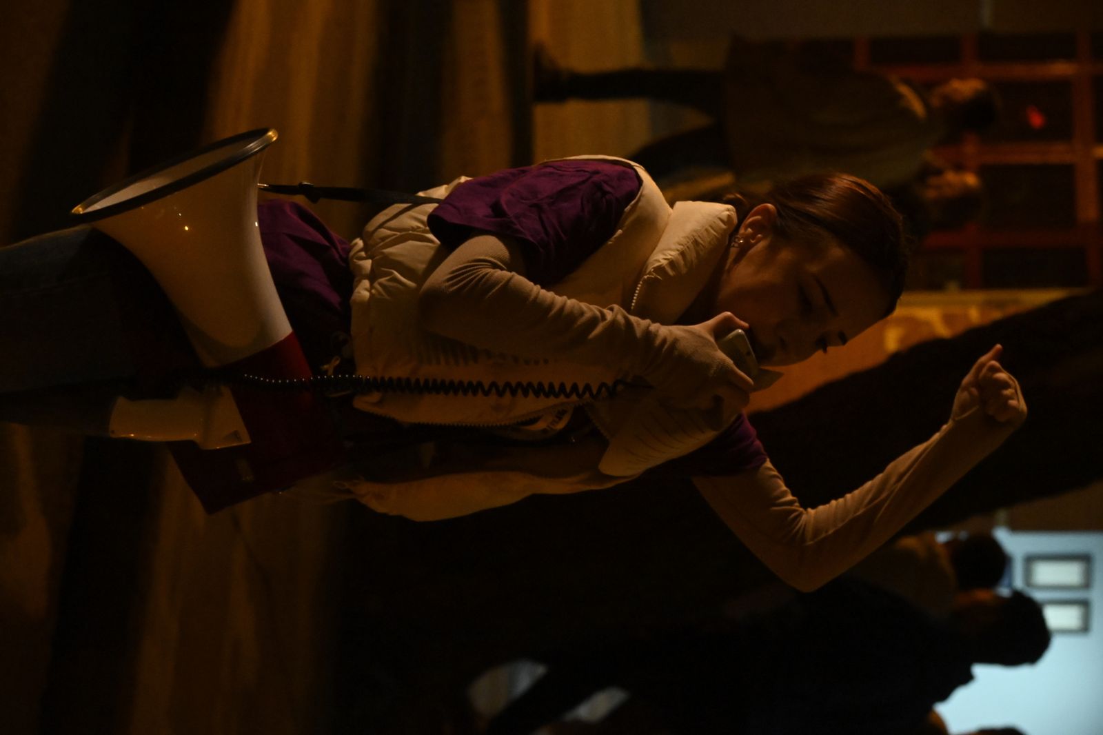 Manifestación del 25N en Imágenes.