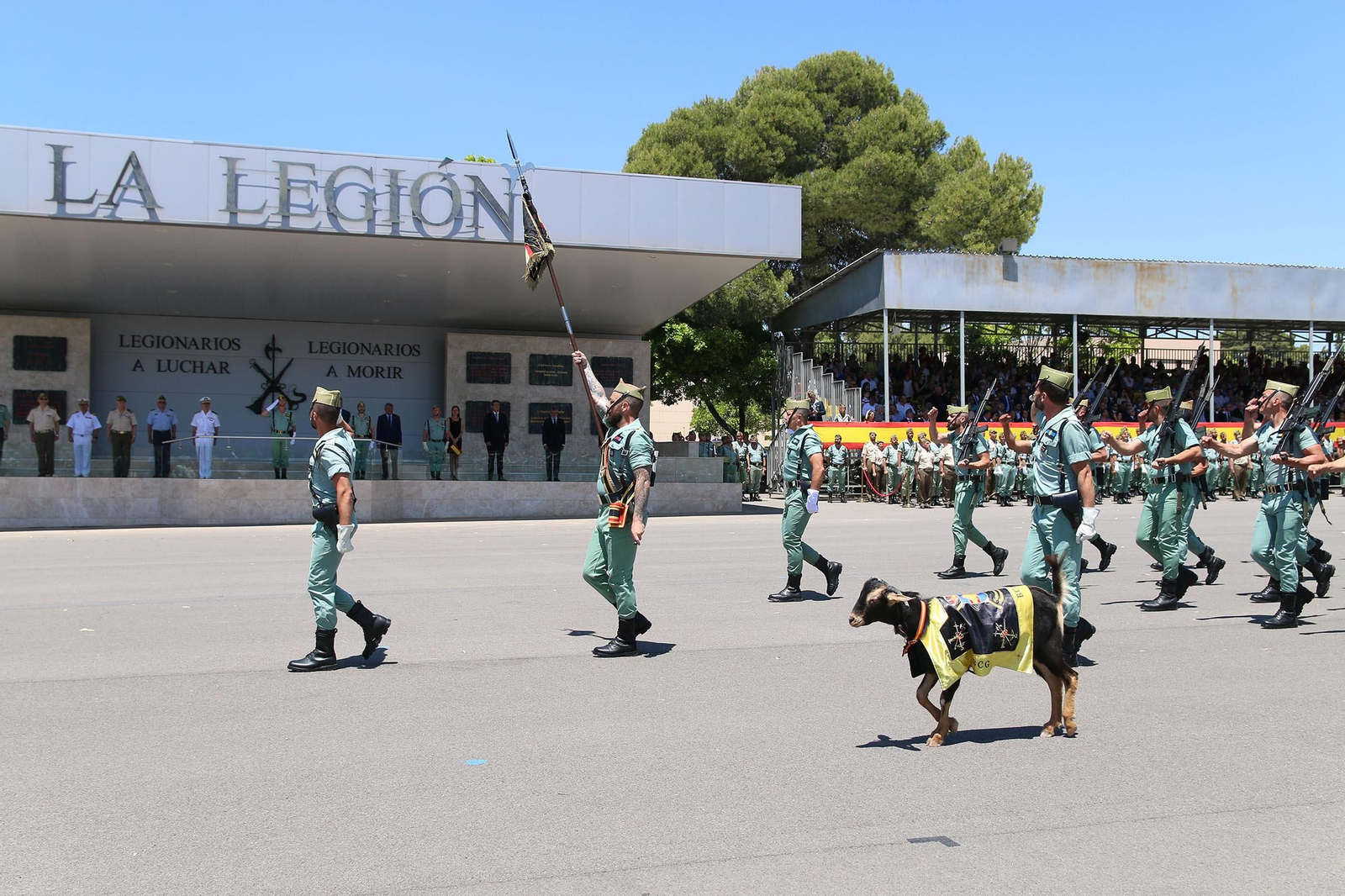 Fotogalería del desfile del Sábado Legionario DIFAS 2022
