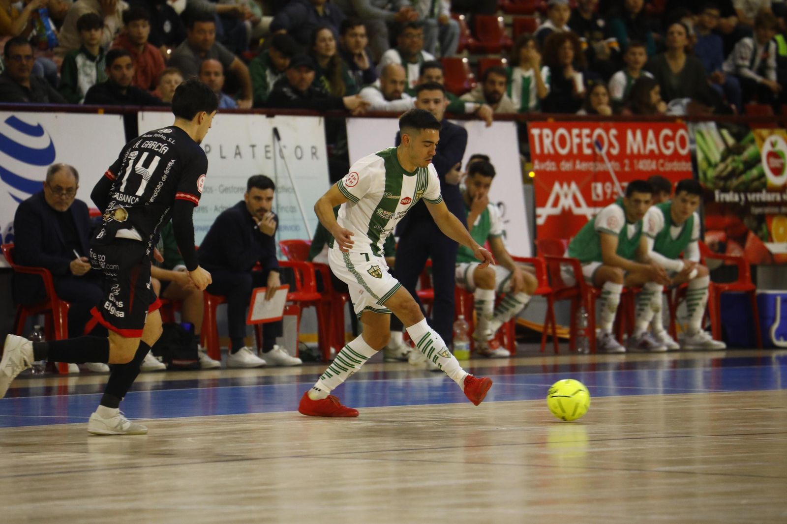 Las mejores fotos del ambiente en Vista Alegre para el Córdoba Futsal - Noia
