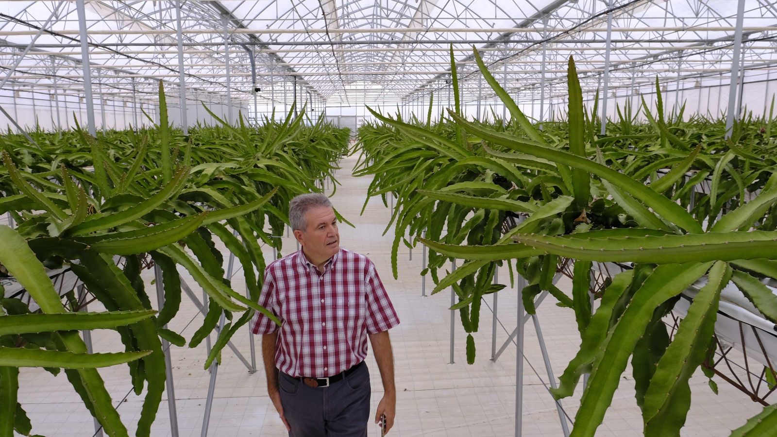 Las instalaciones cuentan con unas 5.000 plantas Las instalaciones cuentan con unas 5.000 plantas