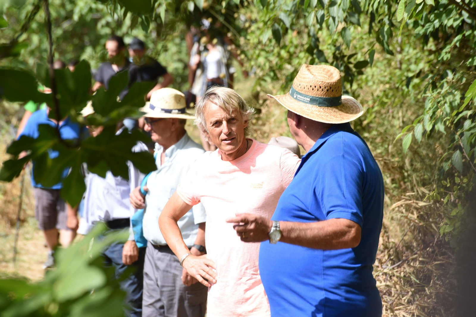 Film in Granada: alicientes para atraer rodajes a la provincia de Granada en el cine post-covid